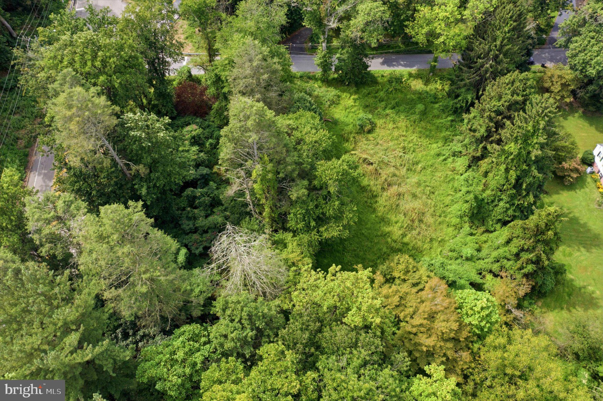 811 CRUM CREEK ROAD
