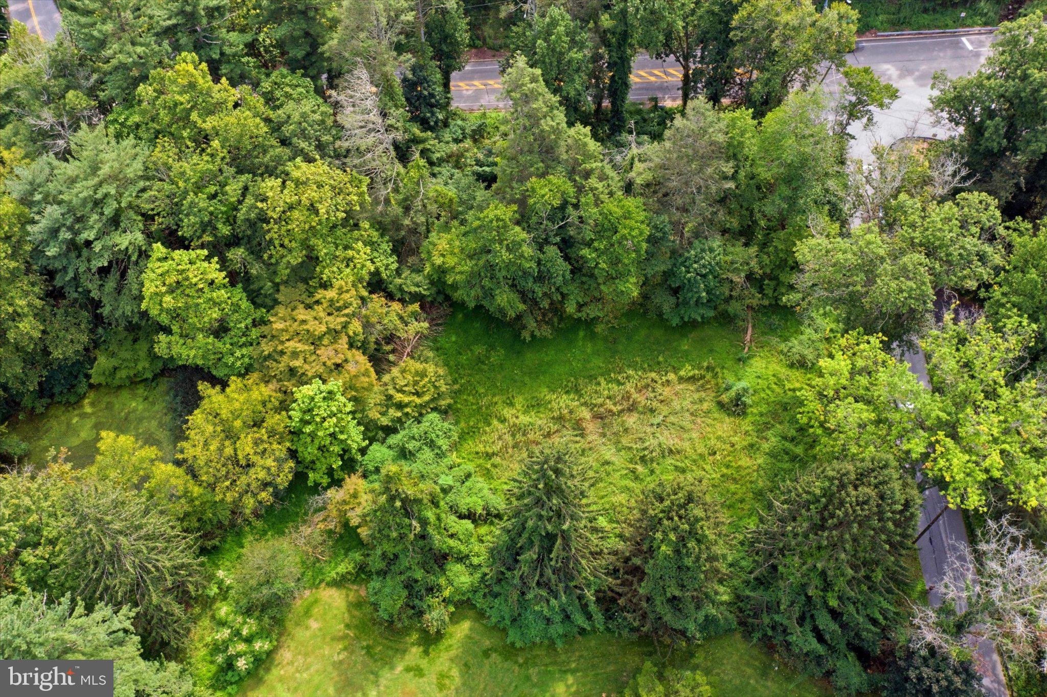 811 CRUM CREEK ROAD