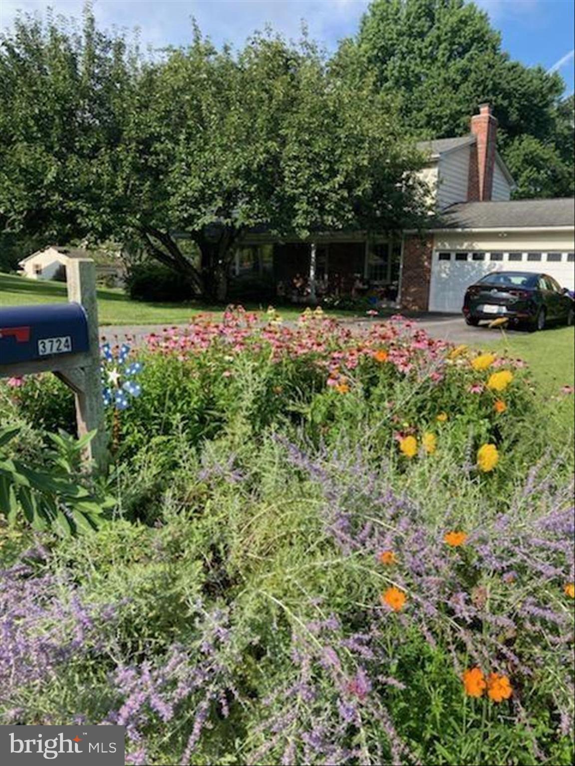 CHATEAU RIDGE - Residential