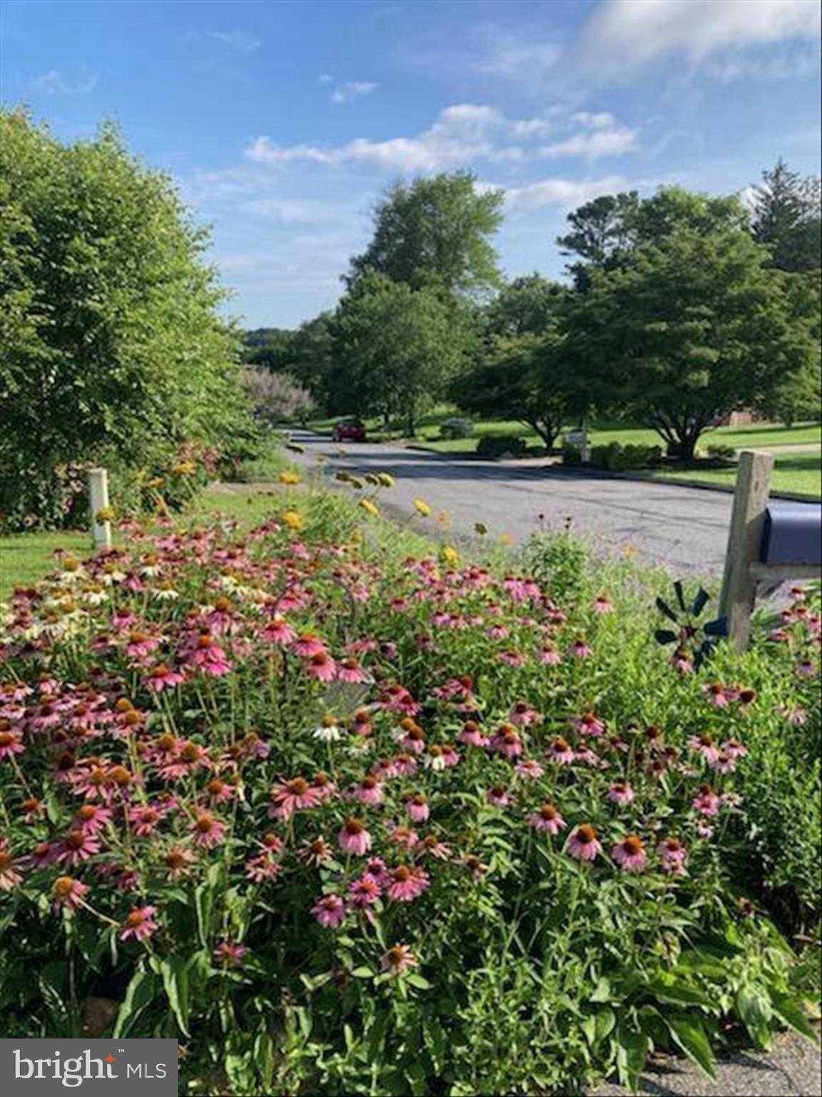 CHATEAU RIDGE - Residential