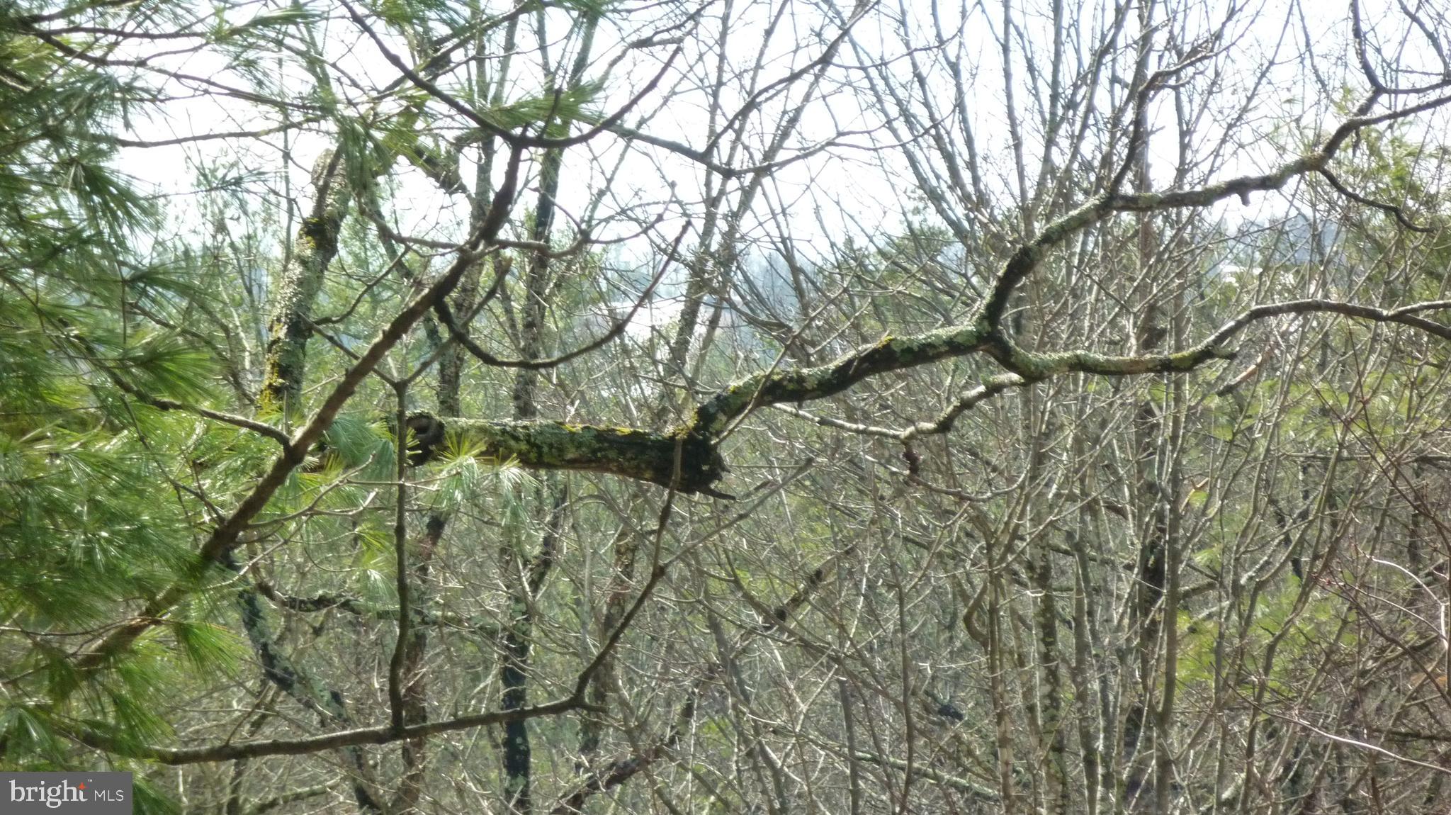 BRYCE  MOUNTAIN - Residential