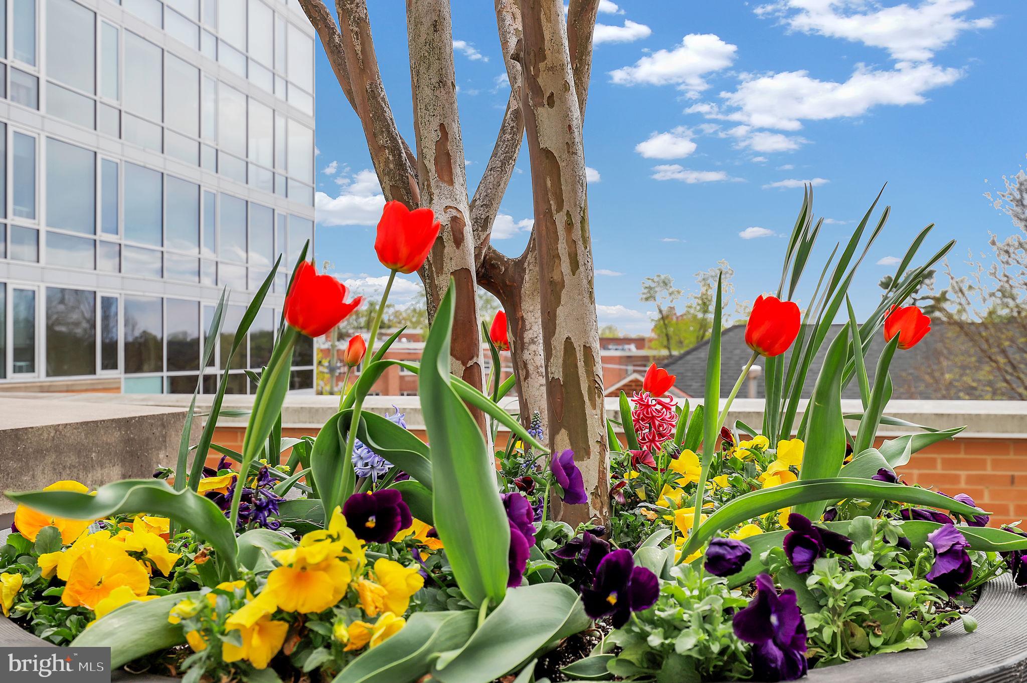 ADAGIO - Residential