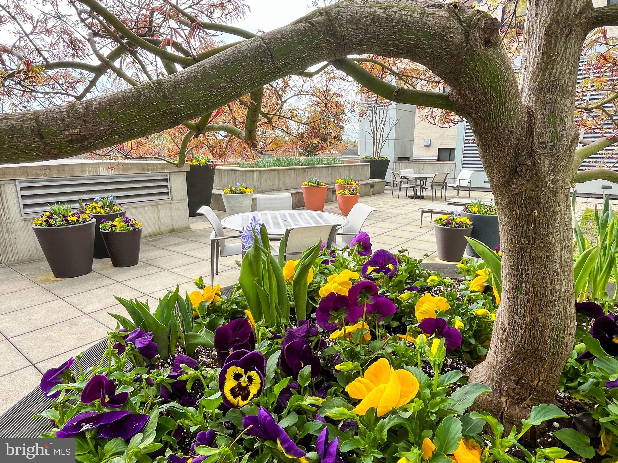 ADAGIO - Residential