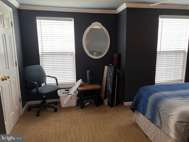 BRENTWOOD PARK - Residential