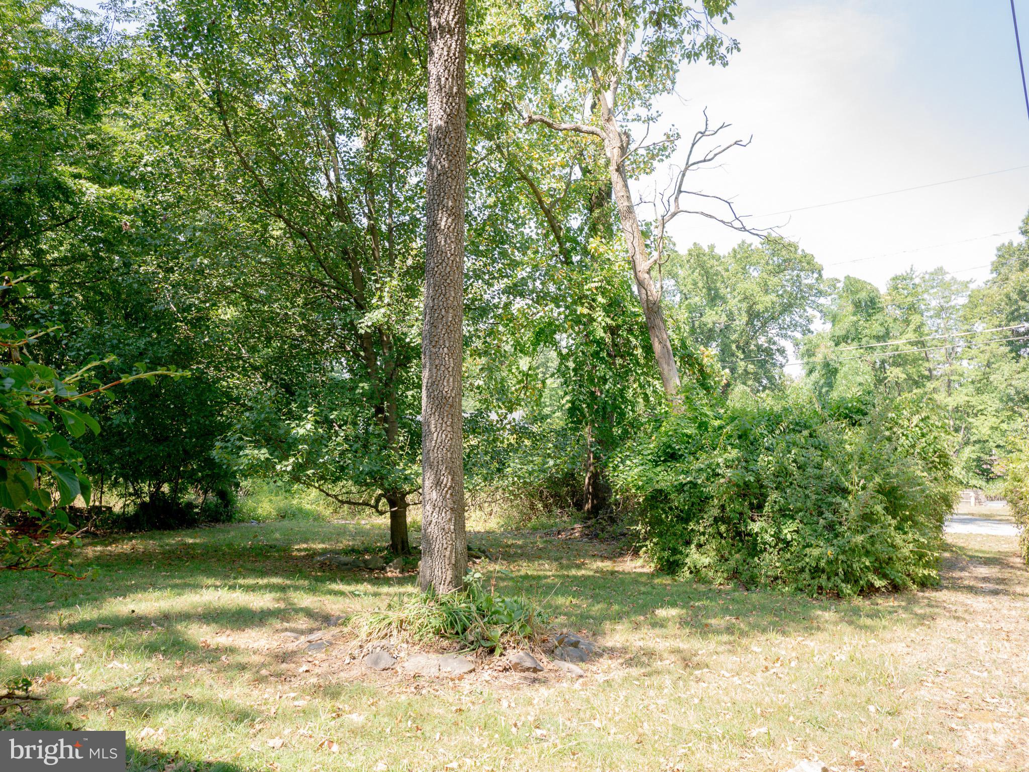 BLUE RIDGE ACRES - Residential