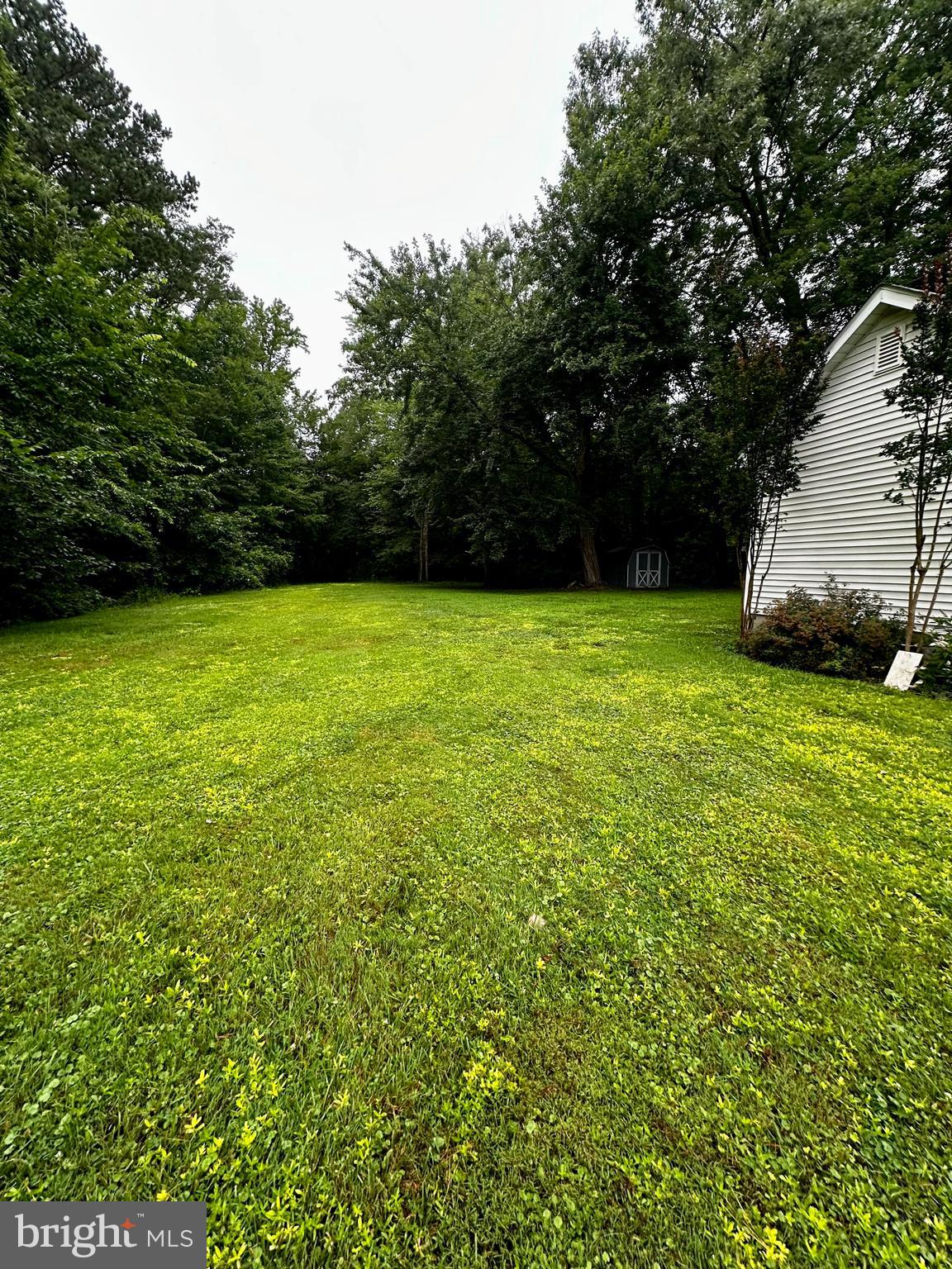 6141 MAIN STREET
