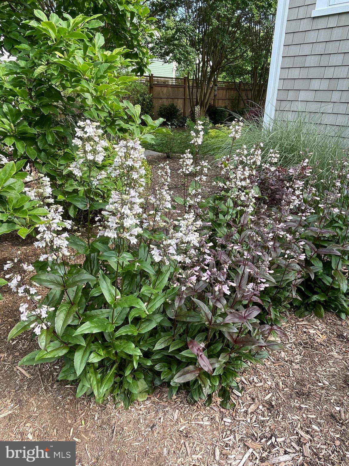 COOKE'S HOPE - Residential