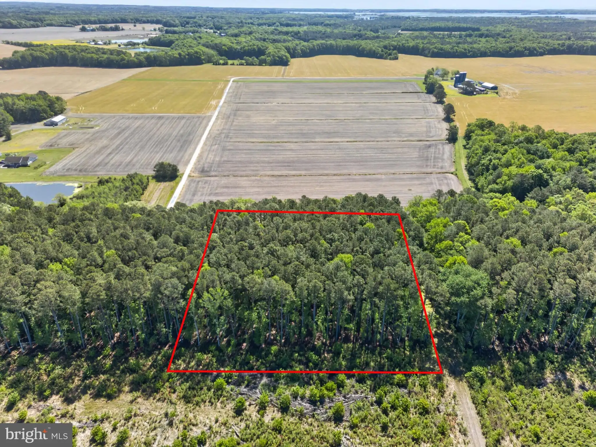 Additional image 15 of Downs, Newark, MD 21841