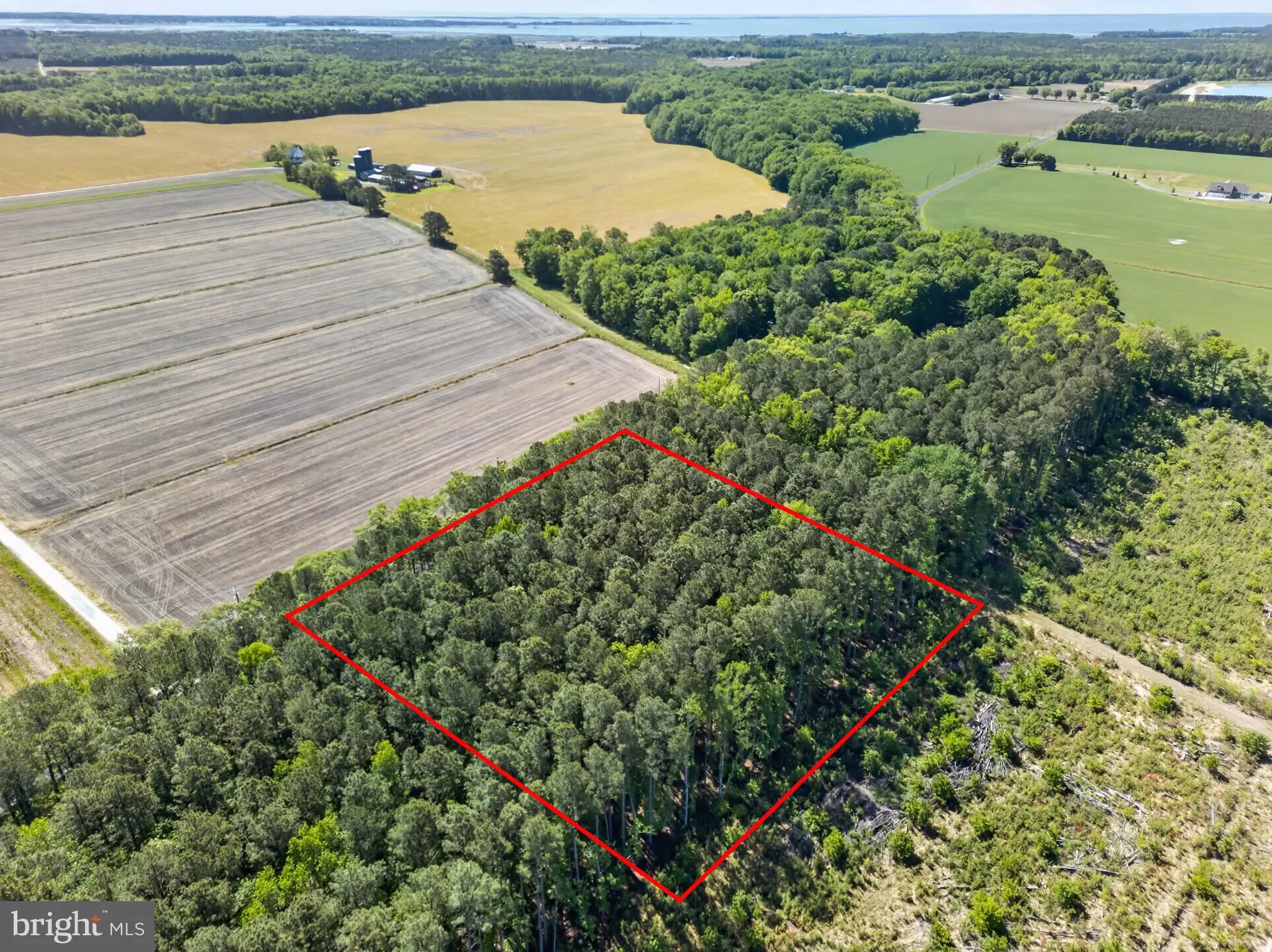 Additional image 16 of Downs, Newark, MD 21841