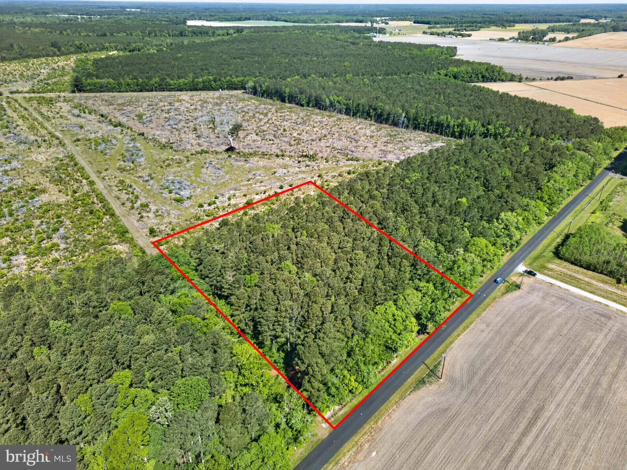 Additional image 12 of Downs, Newark, MD 21841