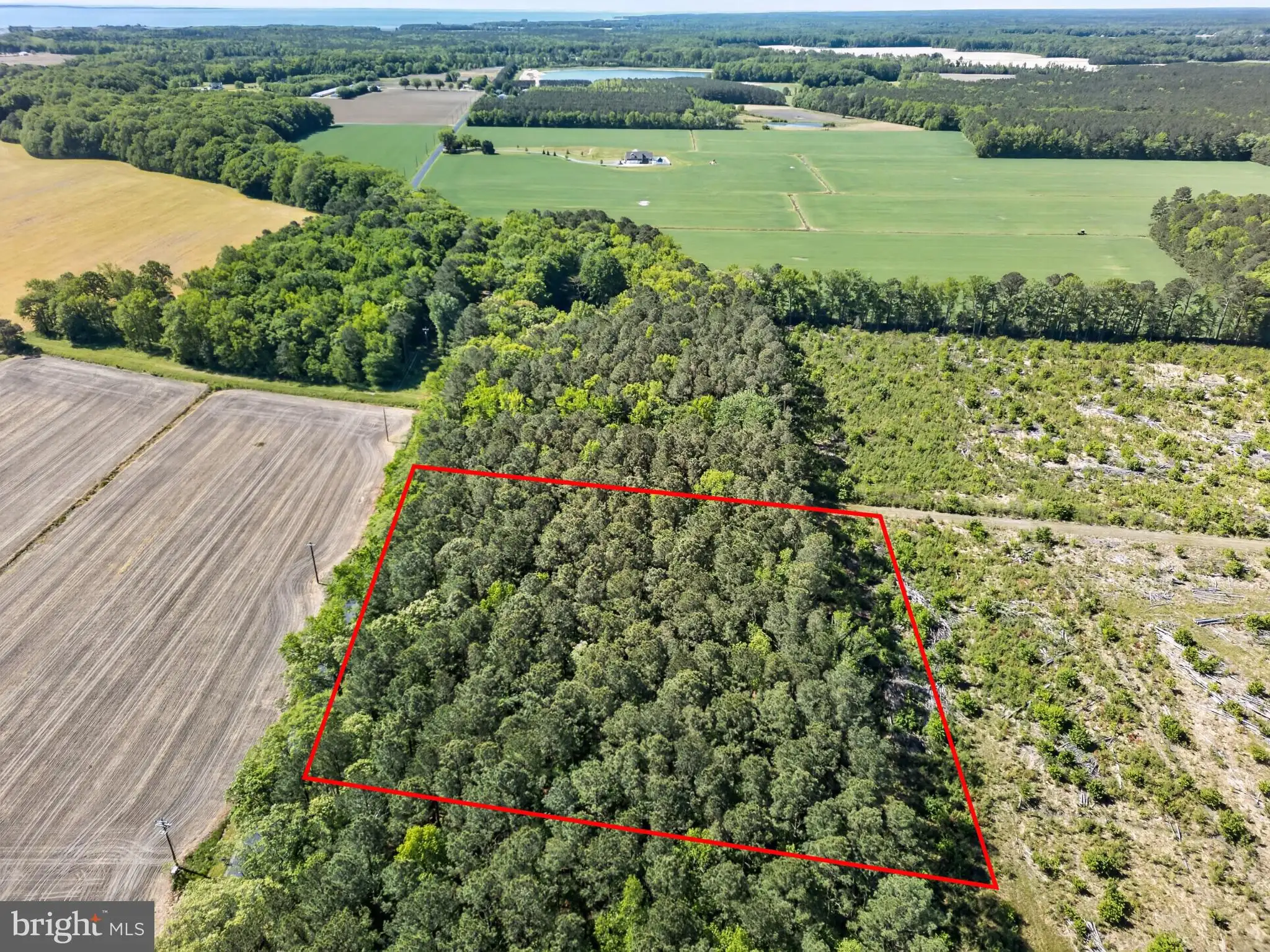 Additional image 17 of Downs, Newark, MD 21841