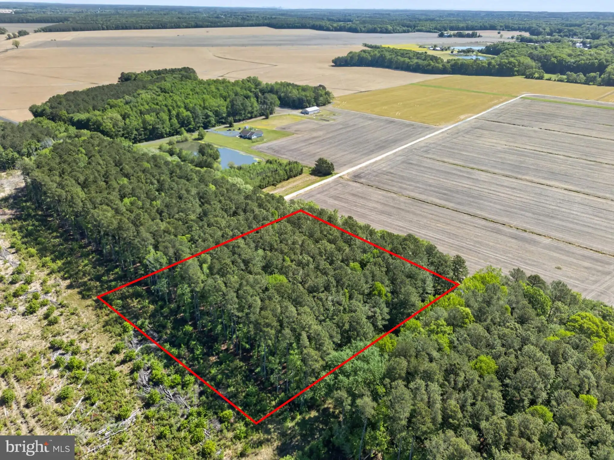 Additional image 14 of Downs, Newark, MD 21841