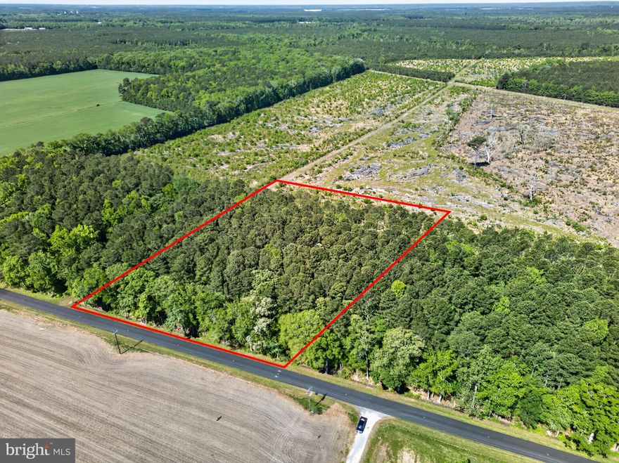 Discover the perfect blend of privacy and convenience with this beautiful 3-acre buildable lot located in a quiet, peaceful setting just 5 minutes from downtown Berlin. Whether you're looking to build your dream home, or a private getaway, this spacious parcel offers endless potential.

Enjoy the serenity of country living while staying close to everything Berlin has to offer — charming shops, local restaurants, schools, and community events. With easy access to nearby beaches, golf courses, and outdoor recreation, this property provides the ideal balance of rural tranquility and coastal convenience.

Highlights include:

3 acres of buildable land
Quiet and private location
Only 5 minutes to downtown Berlin
Short drive to beaches and coastal attractions
Plenty of room for a custom home, garage, workshop, or outdoor living space
Great opportunity for primary residence, vacation home, or investment
If you’ve been searching for space, privacy, and location, this property is a rare opportunity in one of the Eastern Shore’s most desirable areas.

If buyers of the property plan to build a dwelling on the land, it must be a single family home that is 1500 sq ft or more. No trailers, mobile homes, etc. (per deed)