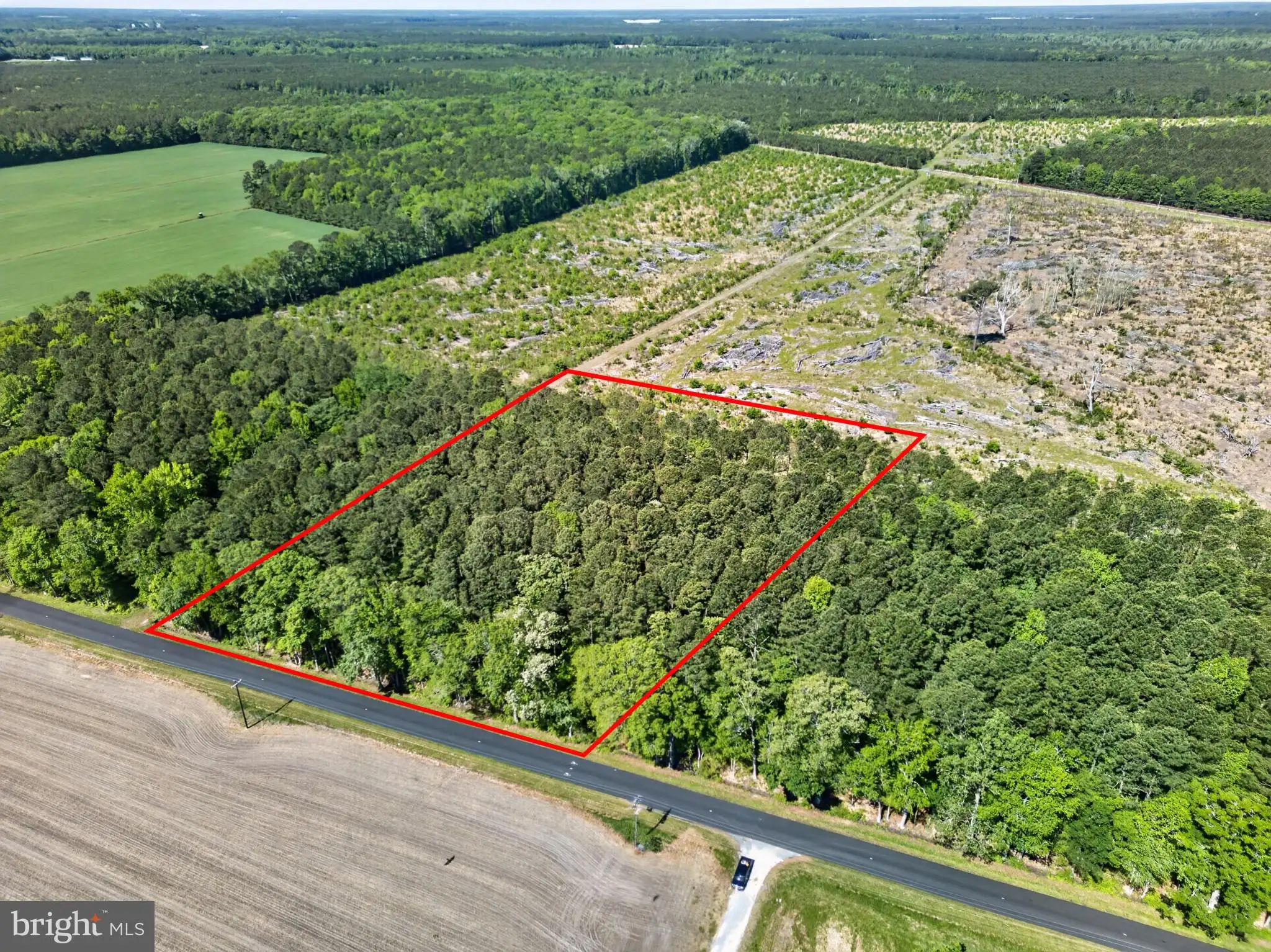 Additional image 10 of Downs, Newark, MD 21841