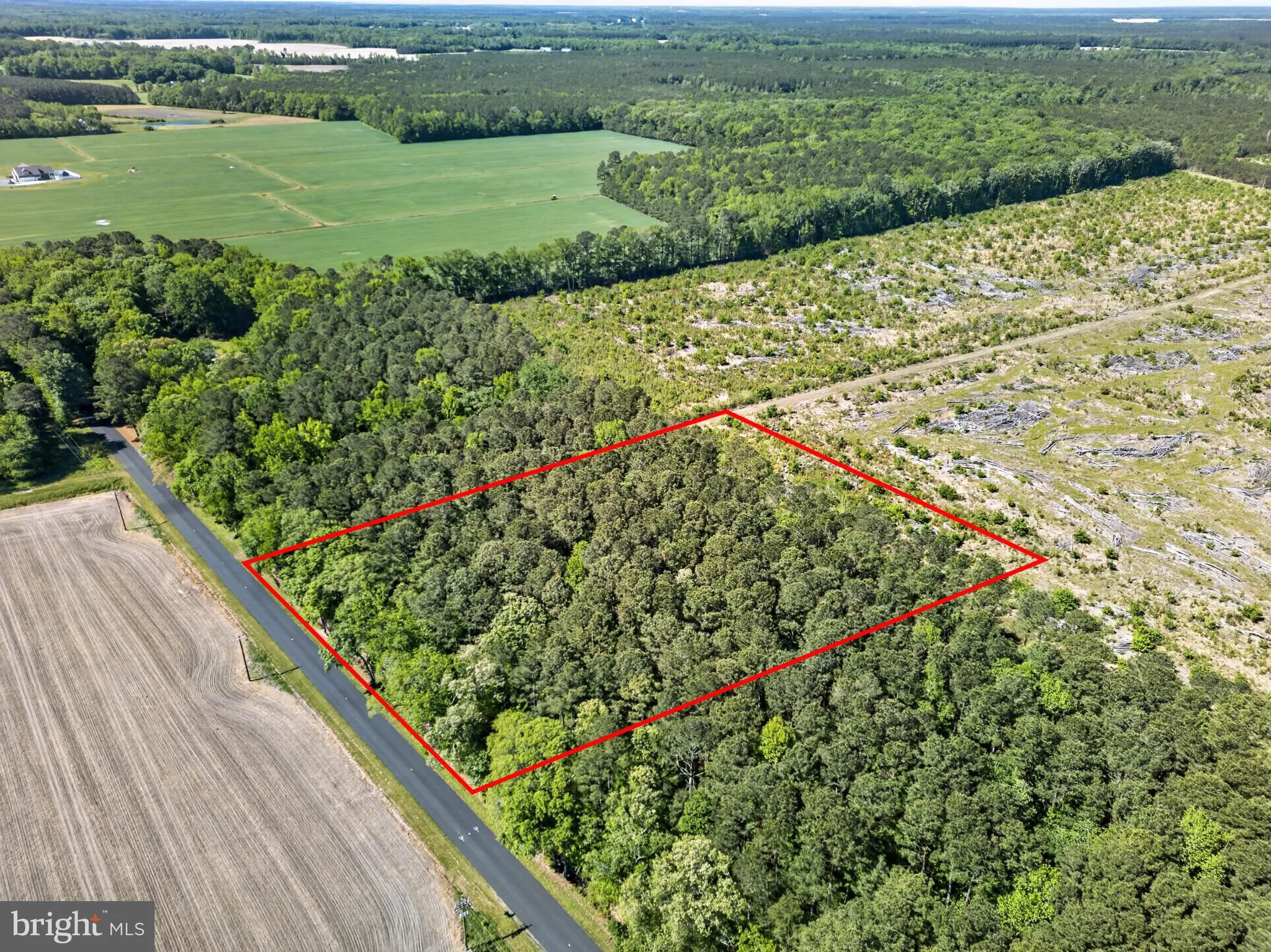 Additional image 18 of Downs, Newark, MD 21841