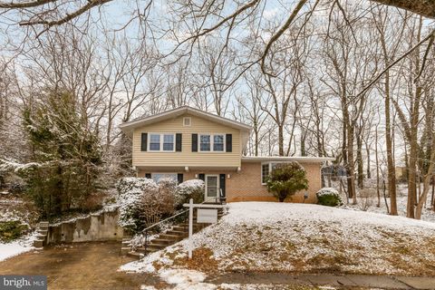 118 WHITE BIRCH COURT GREENBELT MD 20770