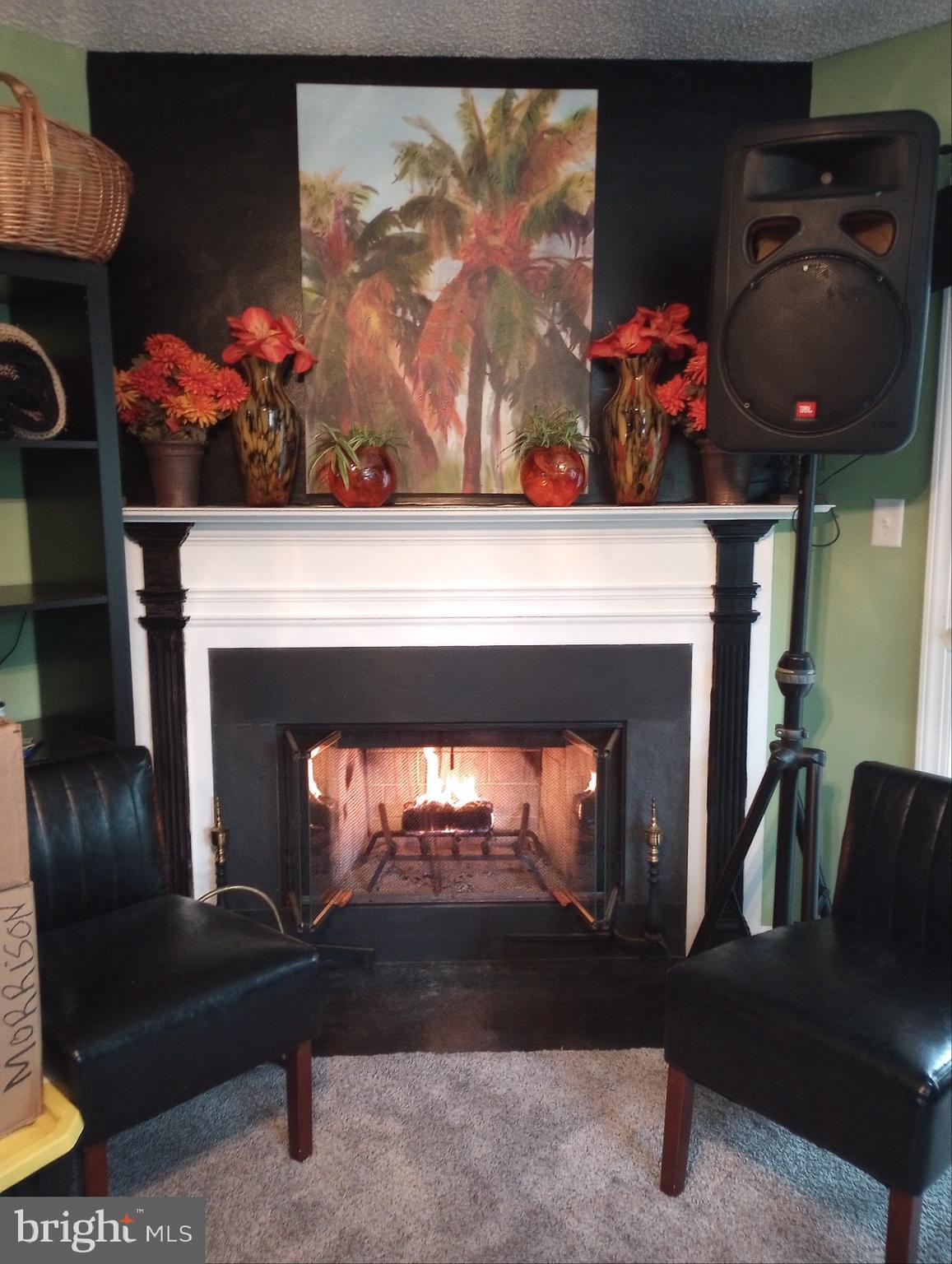 735 CANVASBACK COURT