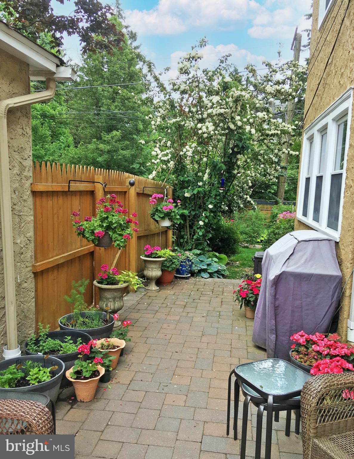 WYNDMOOR - Residential