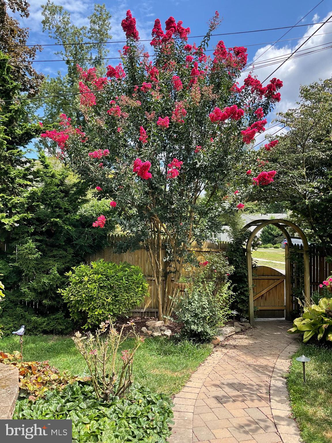 WYNDMOOR - Residential