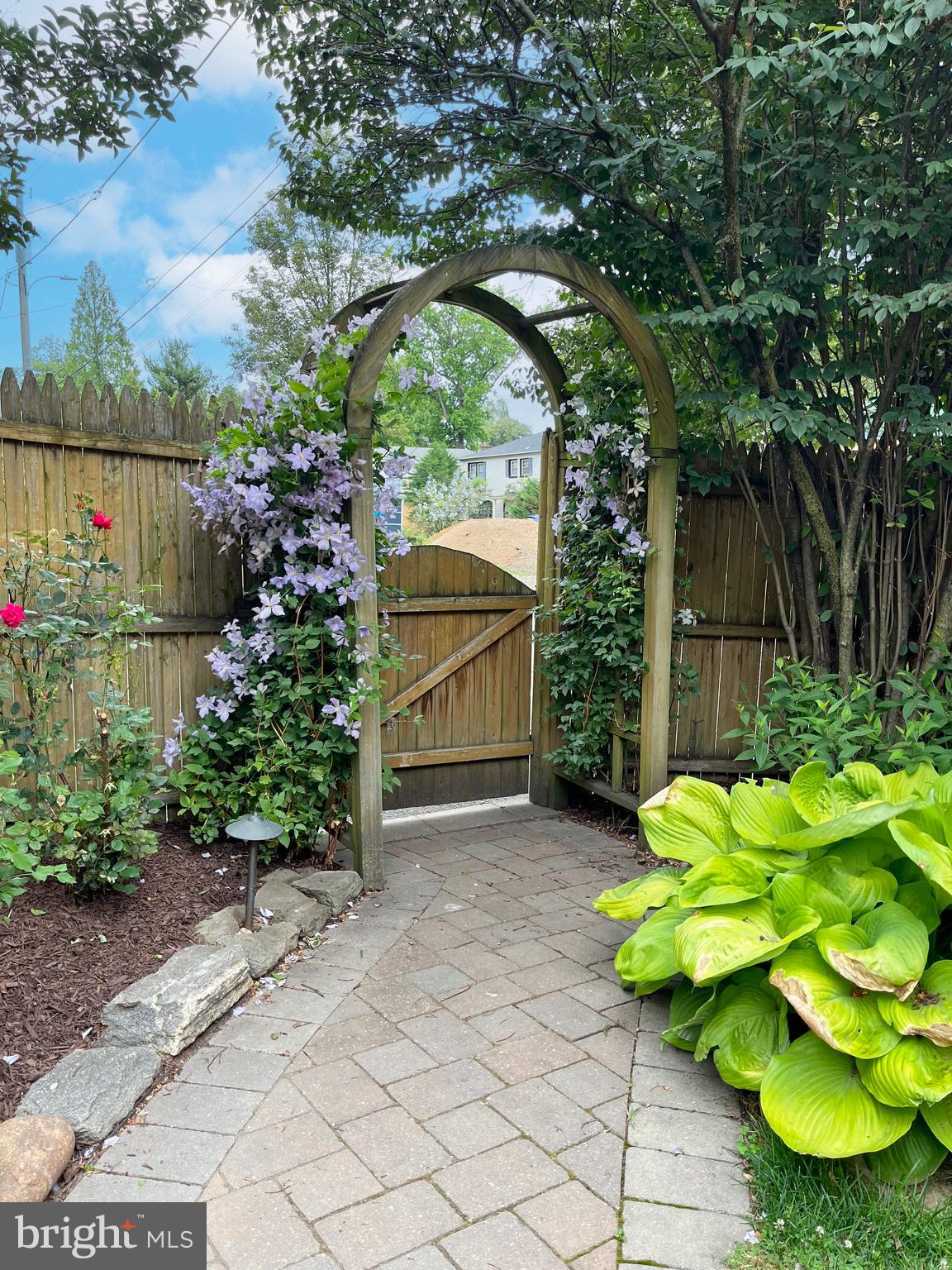 WYNDMOOR - Residential