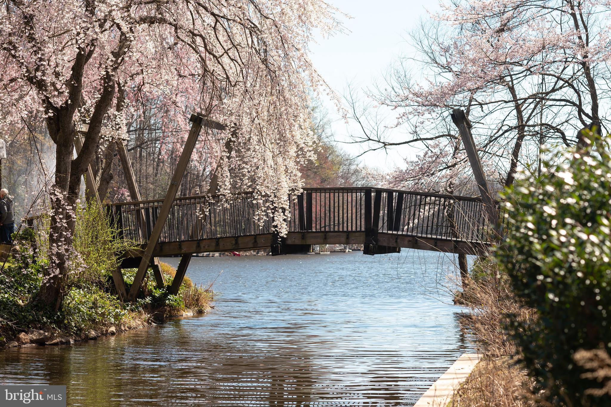 TALL OAKS - Residential Lease