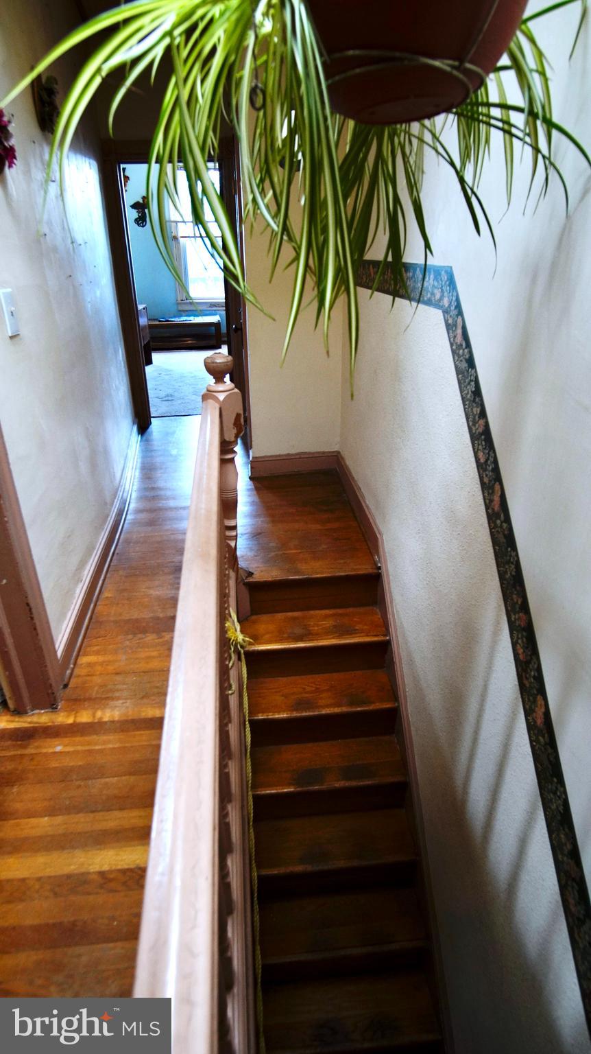 ELWOOD PARK - Residential