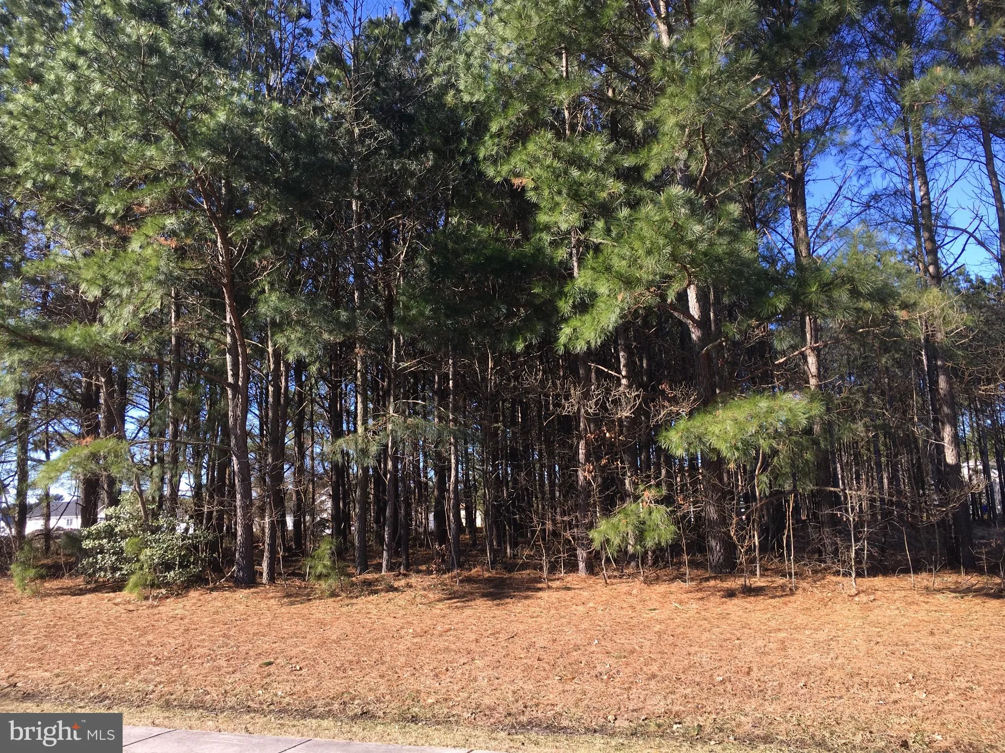 24741 Millpond Lane, Georgetown, DE 19947