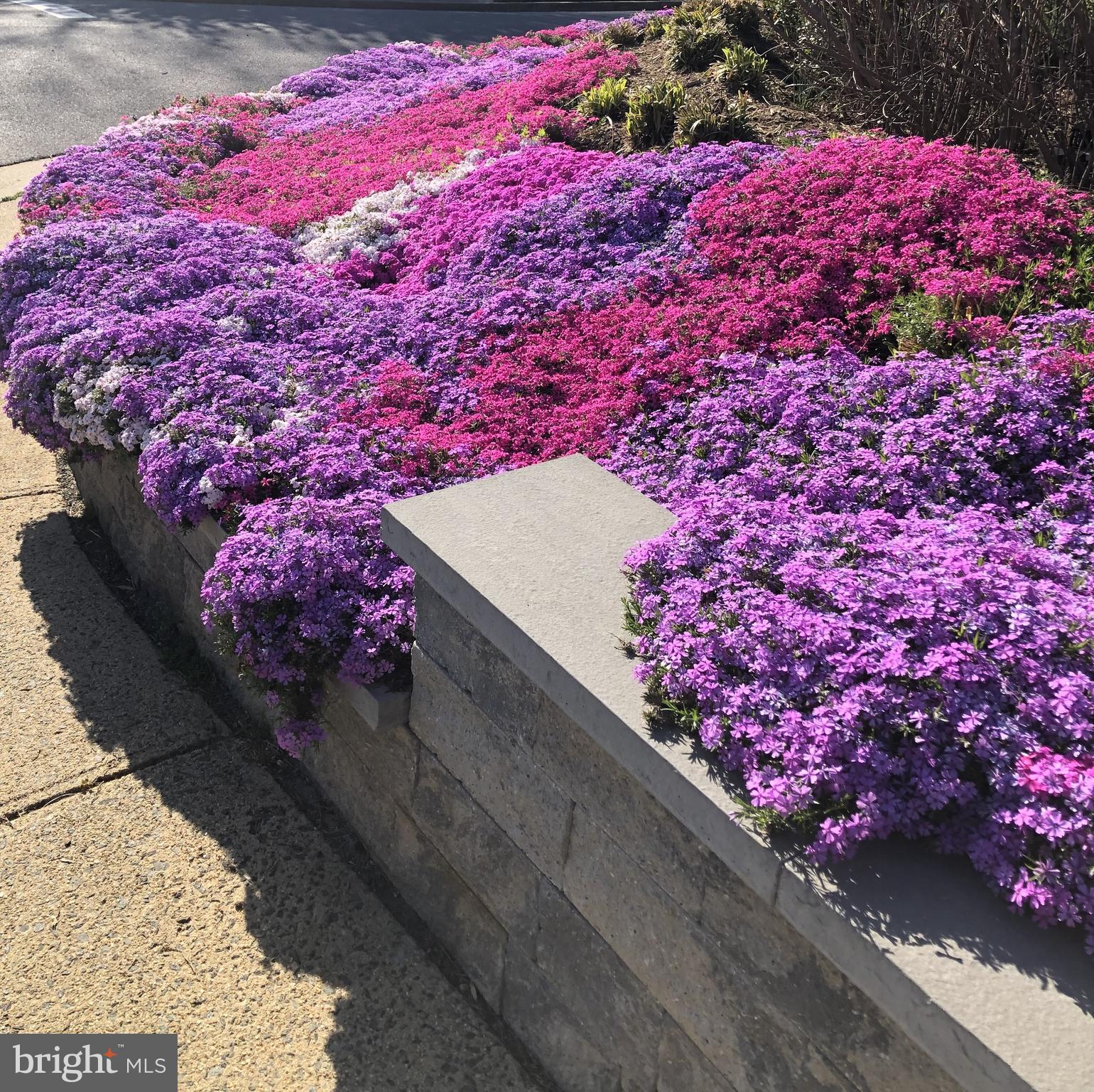 SHIRLEY WOODS - Residential