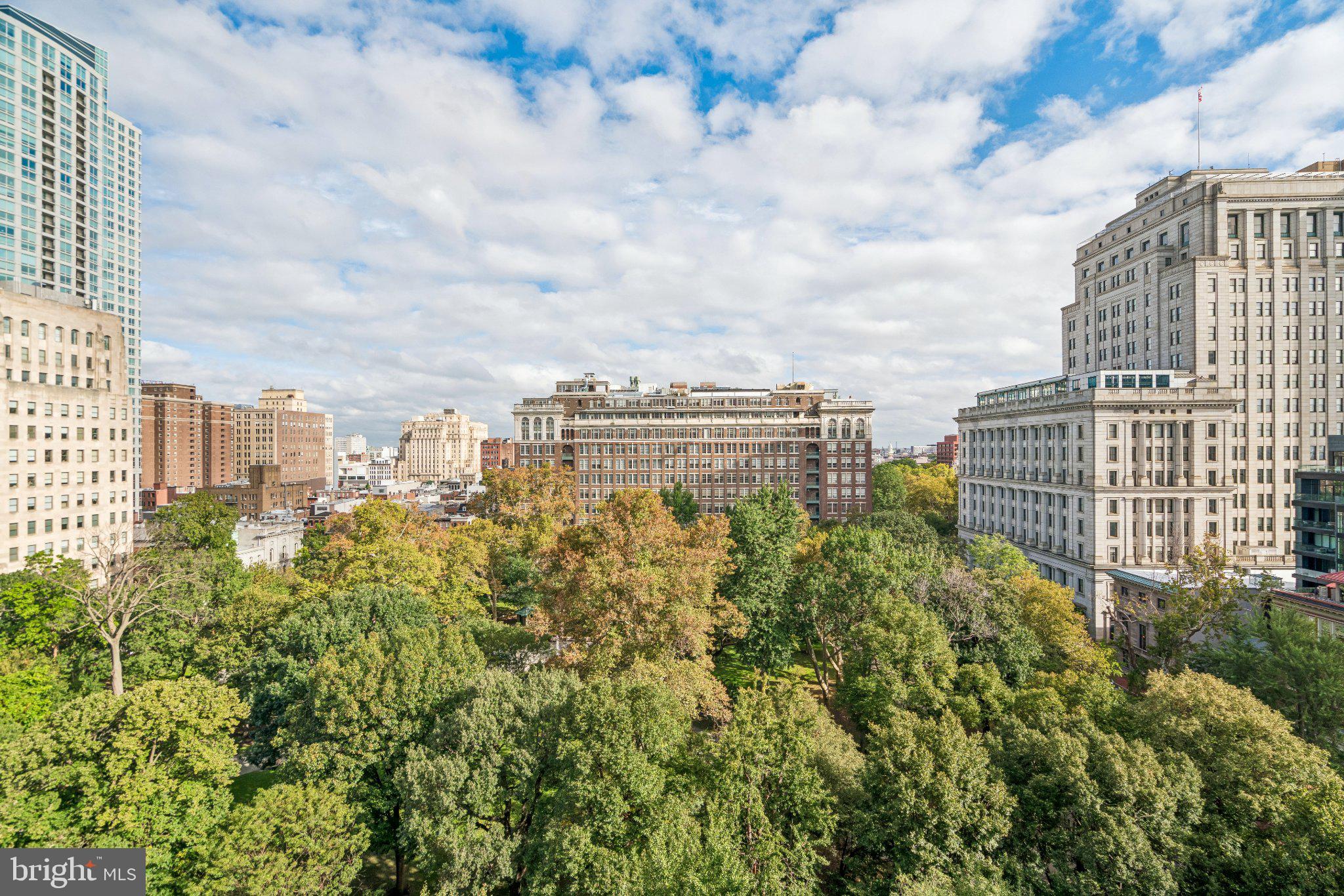 604 S WASHINGTON SQUARE 1308