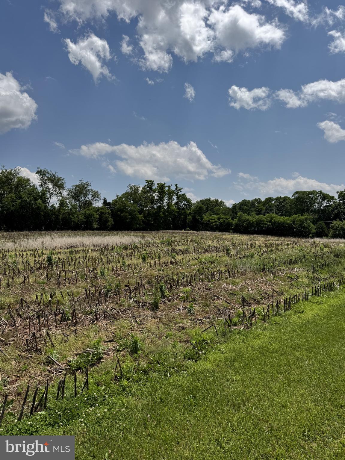 Lot 4 OLD TANEYTOWN ROAD