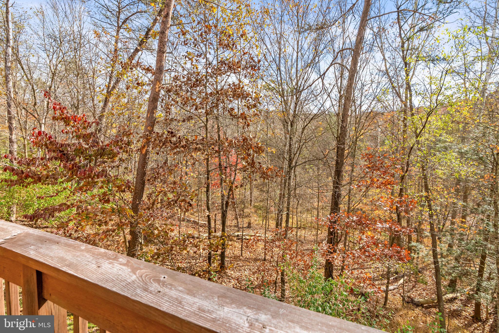 BEAVER DAM WOODS - Residential