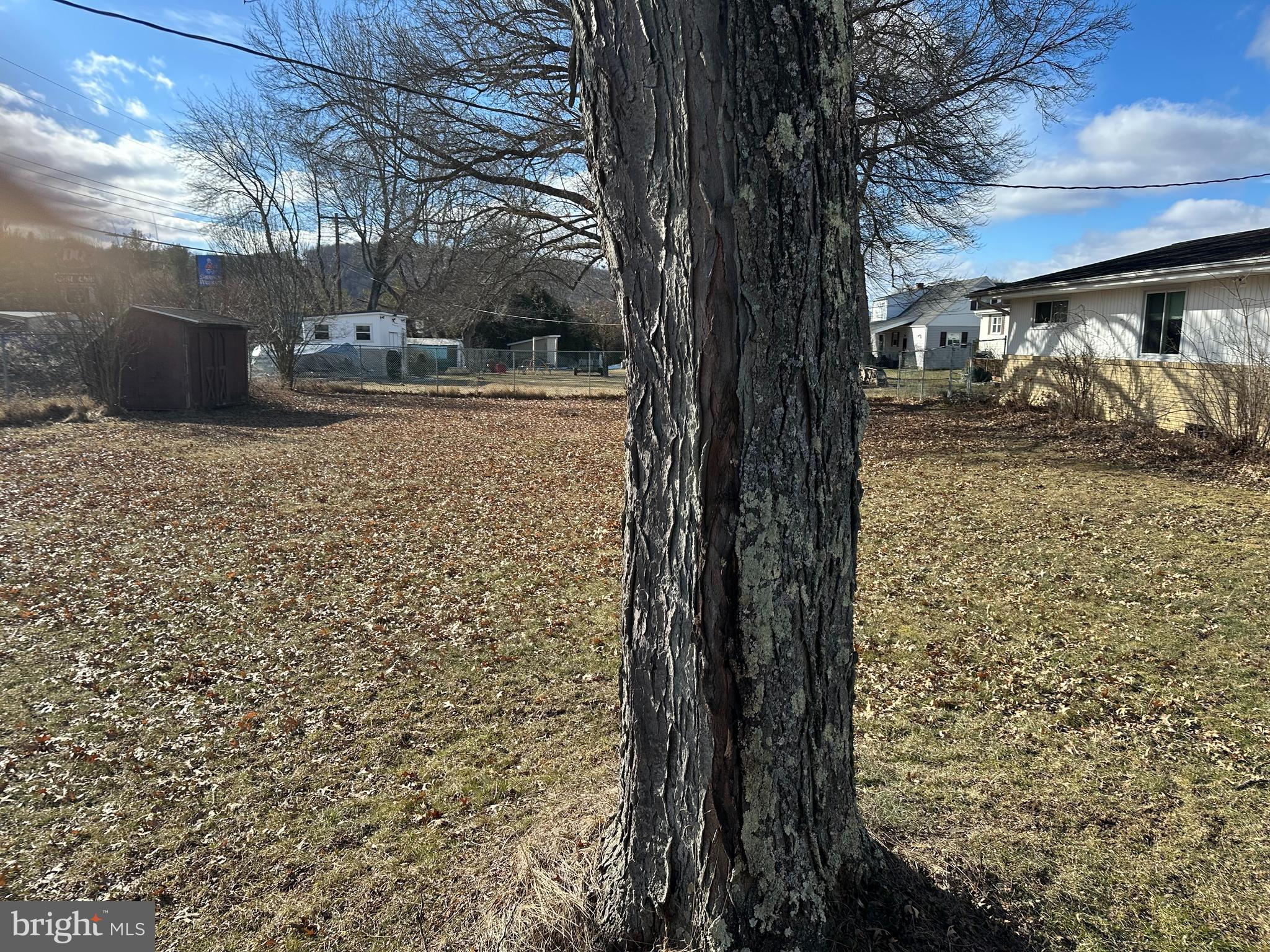 GOLDEN ROD - Residential