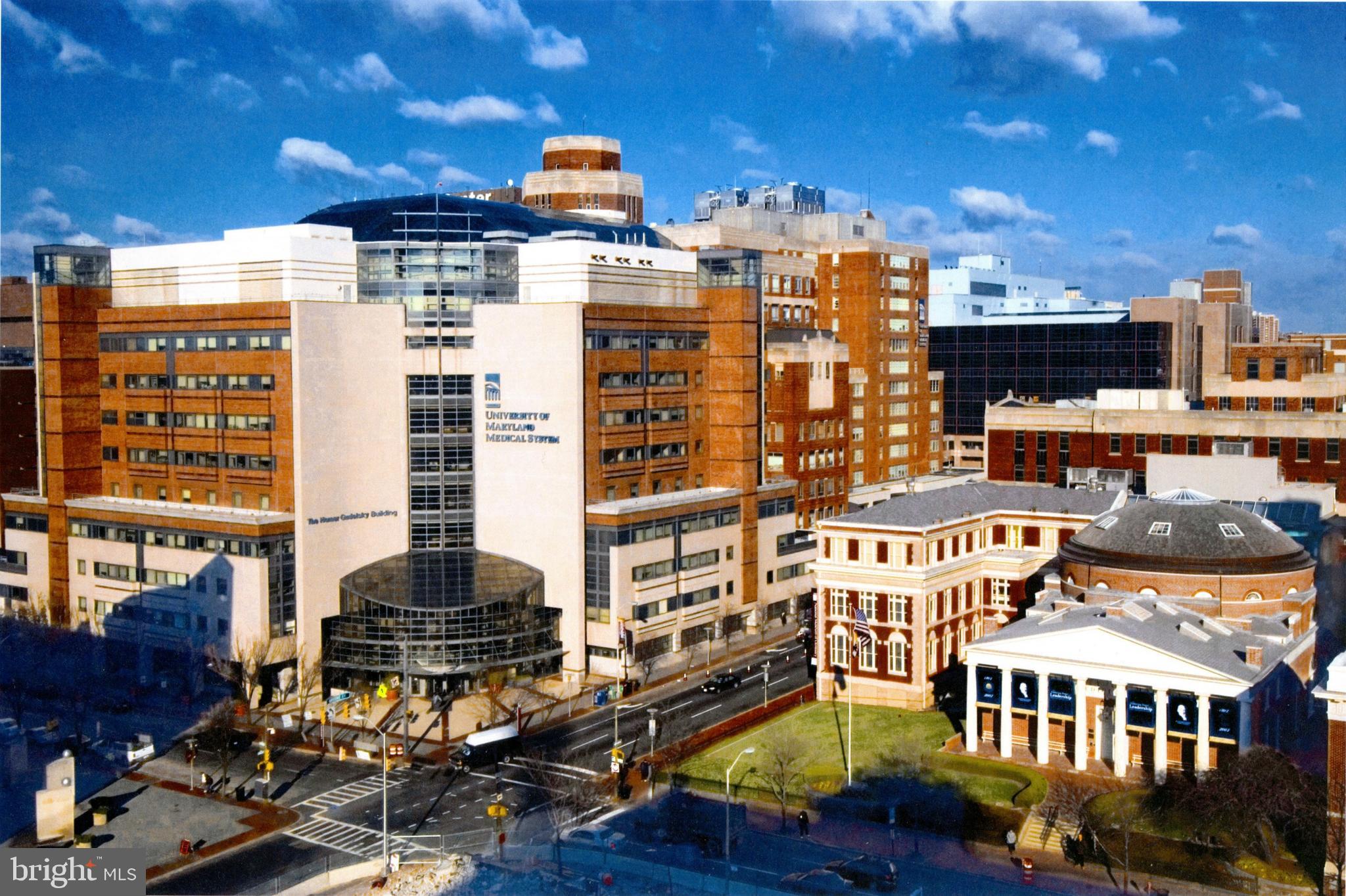 HOLLINS MARKET - Residential