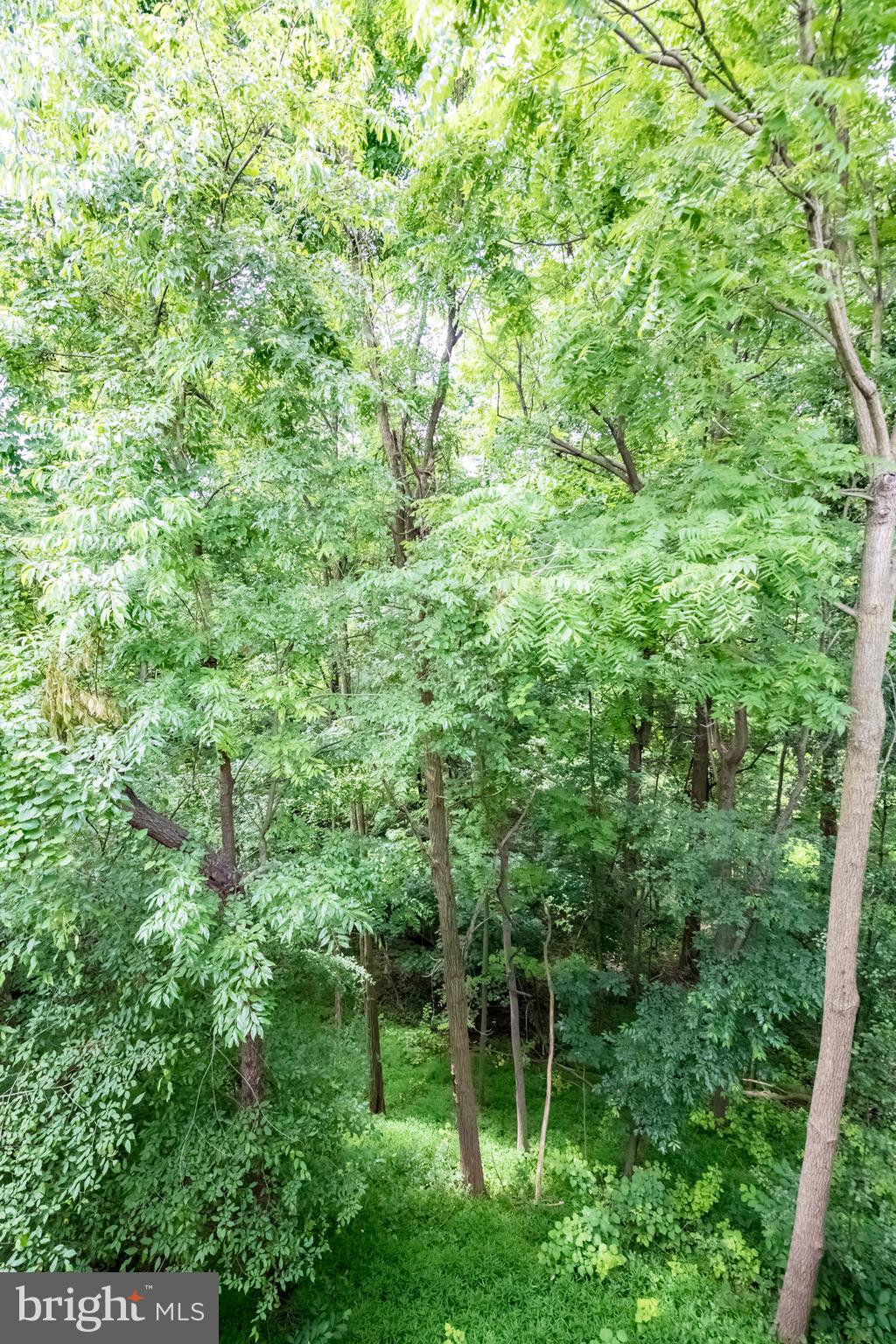 FARMINGDALE - Residential Lease