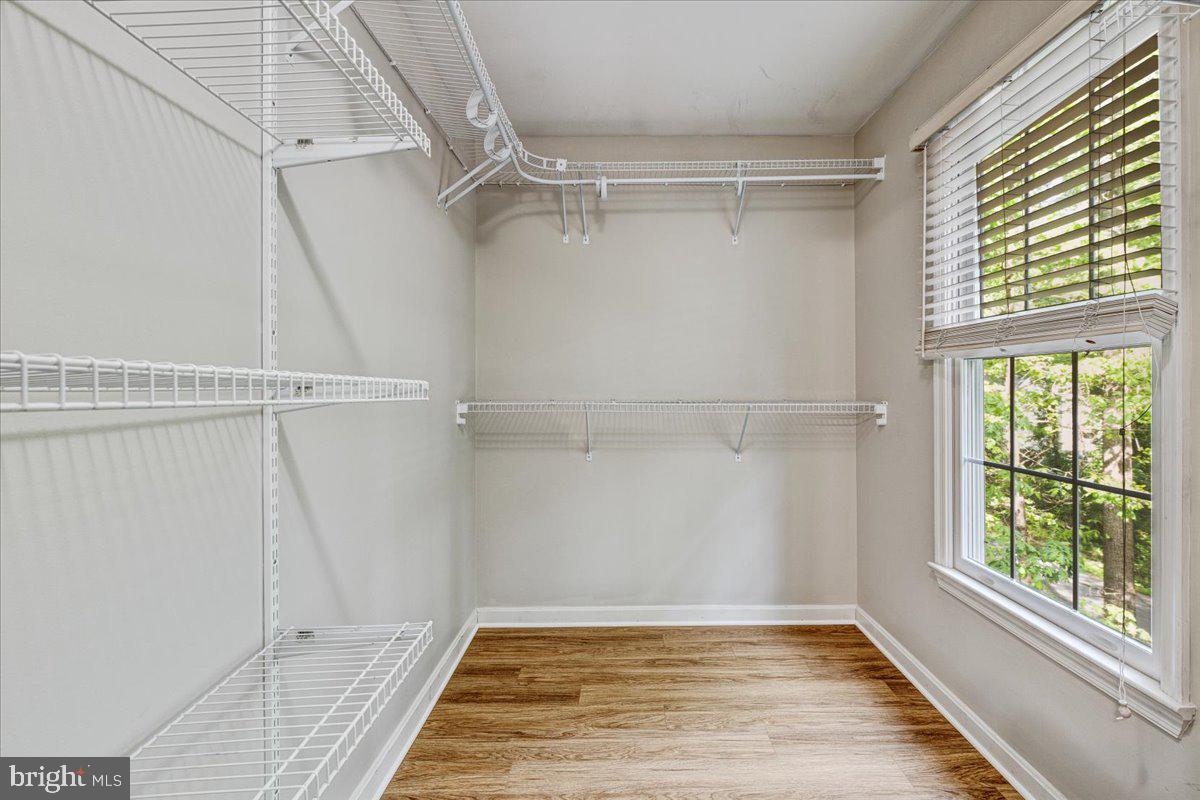 DRUM POINT - Residential Lease