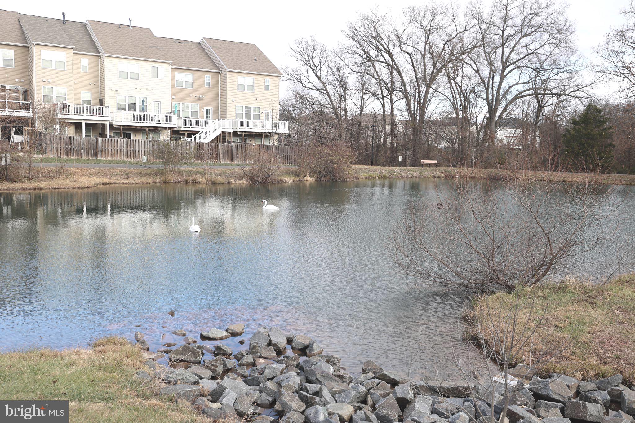 20545 ROLLING WATER TERRACE