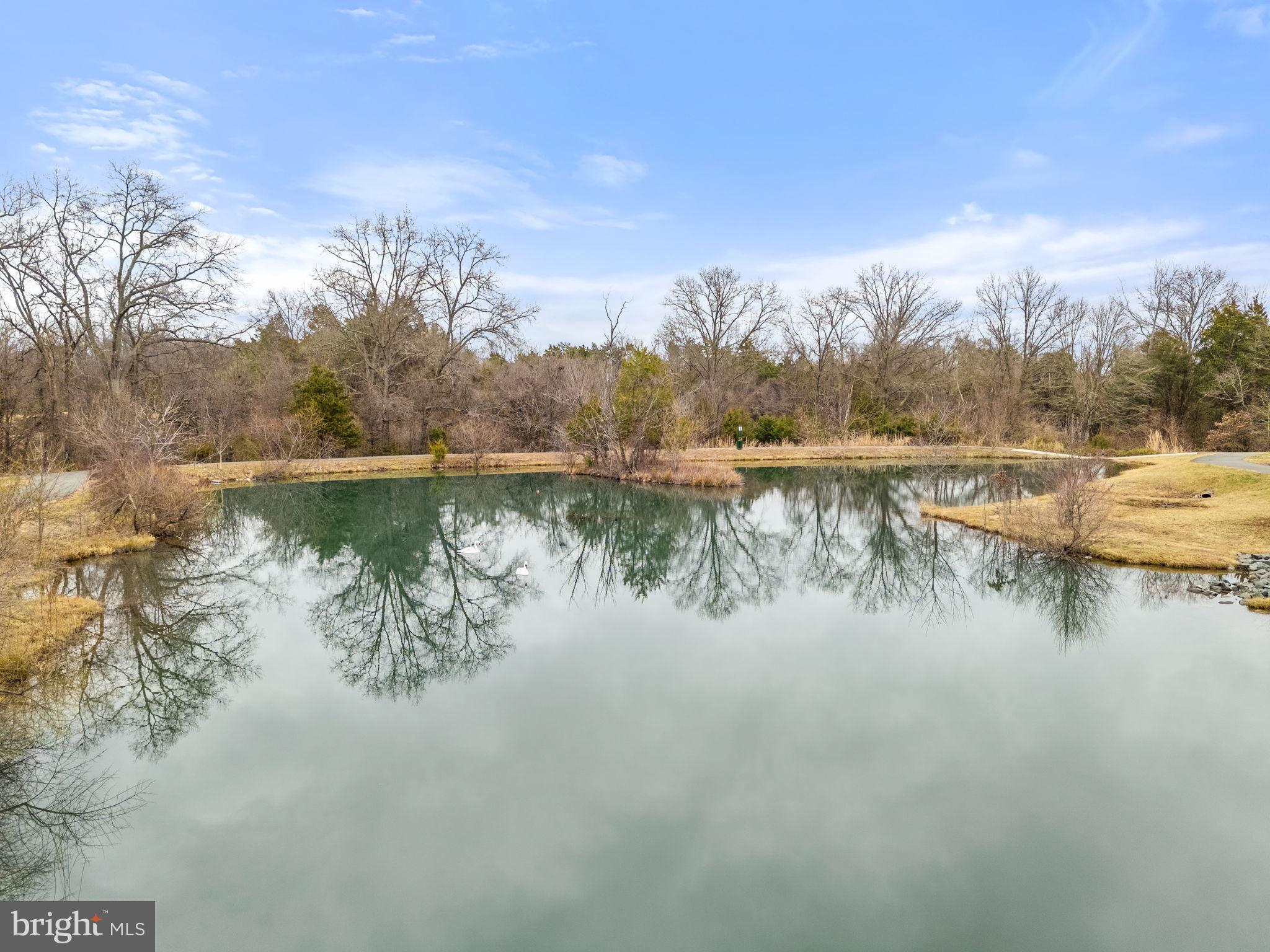 BELMONT ESTATES - Residential