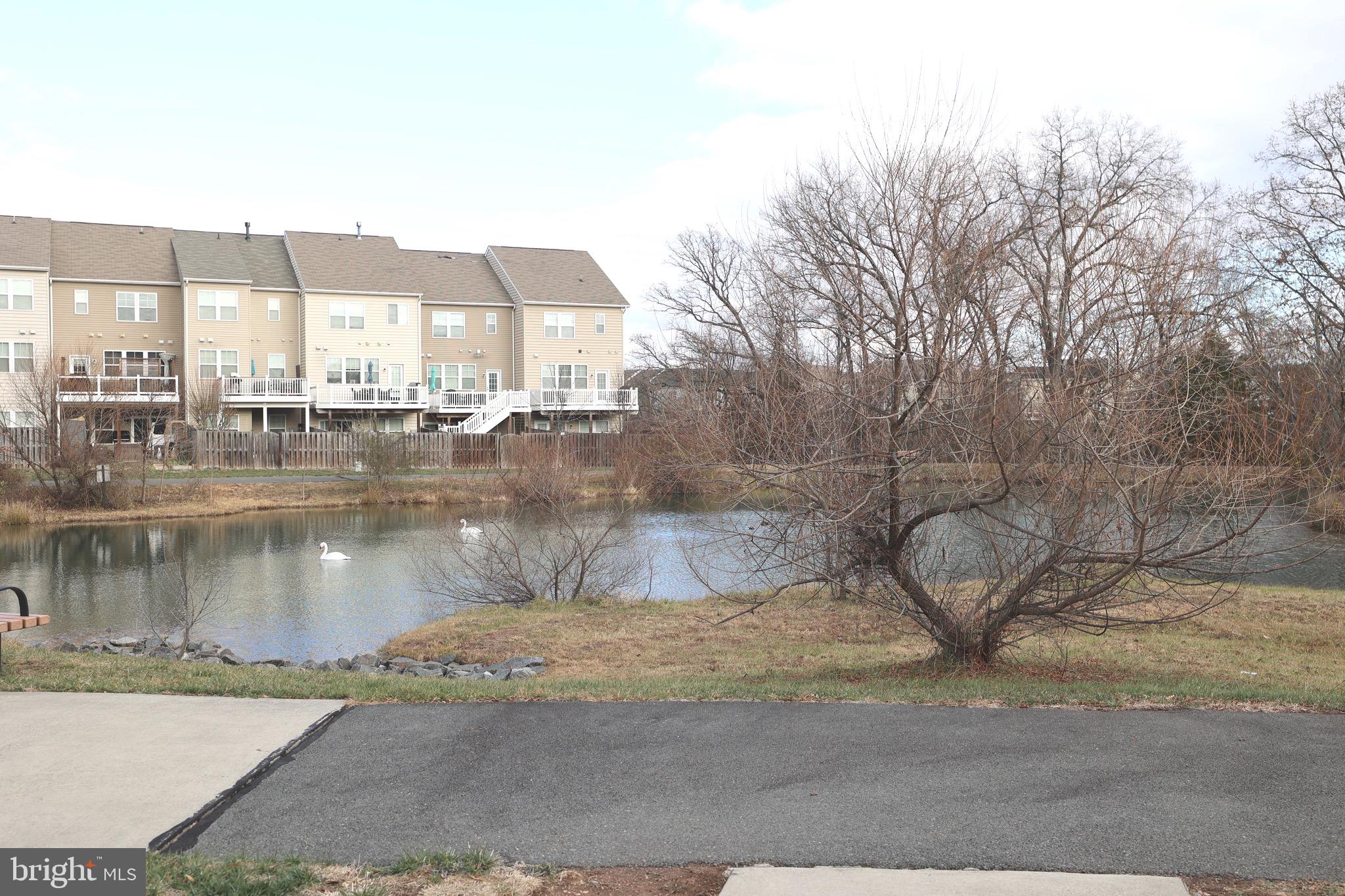 20545 ROLLING WATER TERRACE