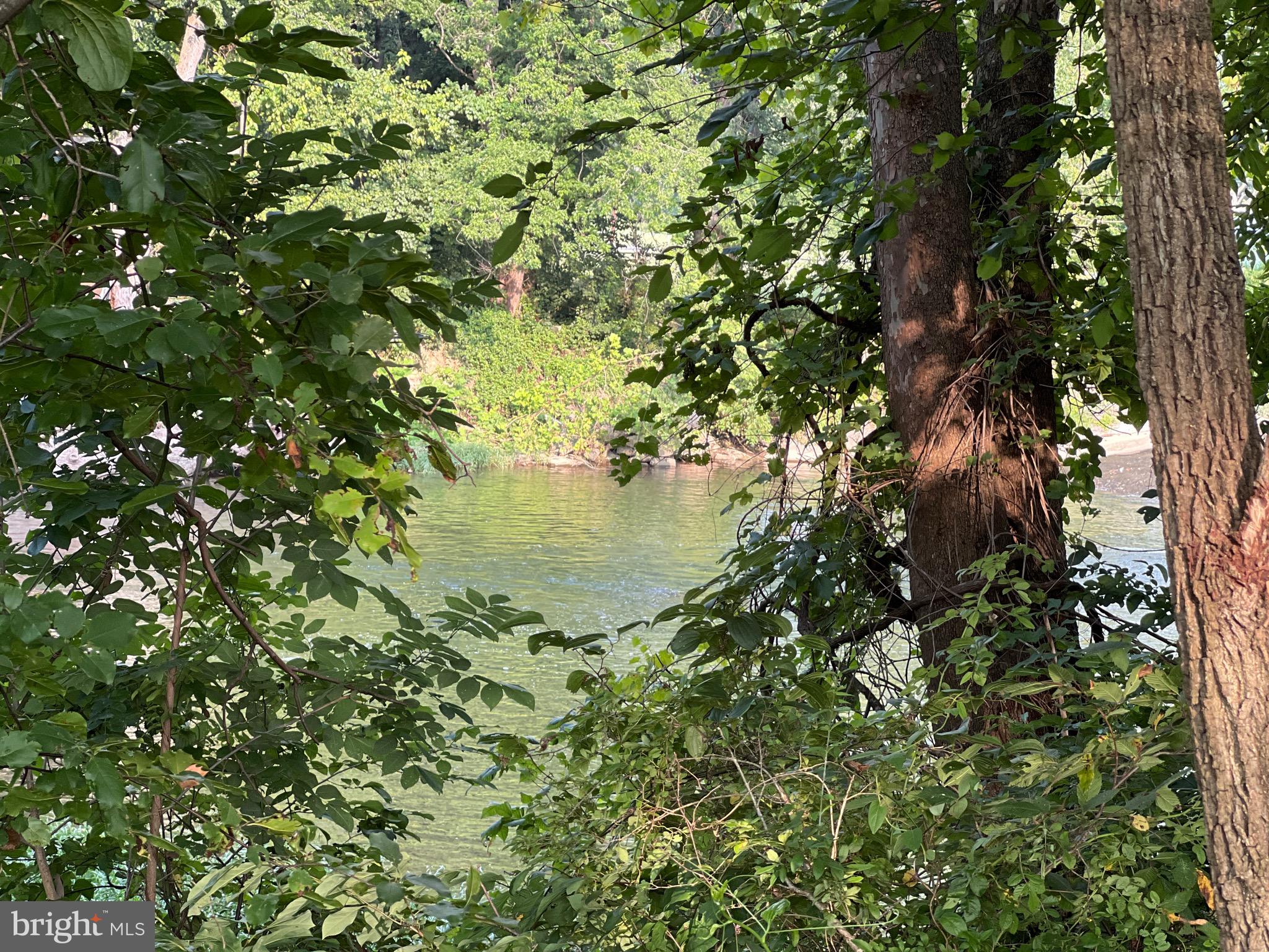 NONE UNRESTRICTED - Farm