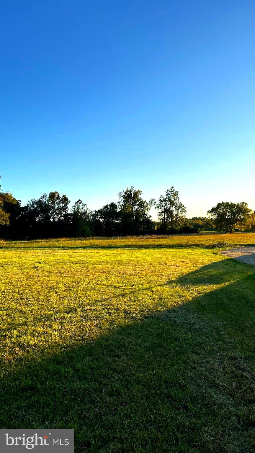 NONE UNRESTRICTED - Farm