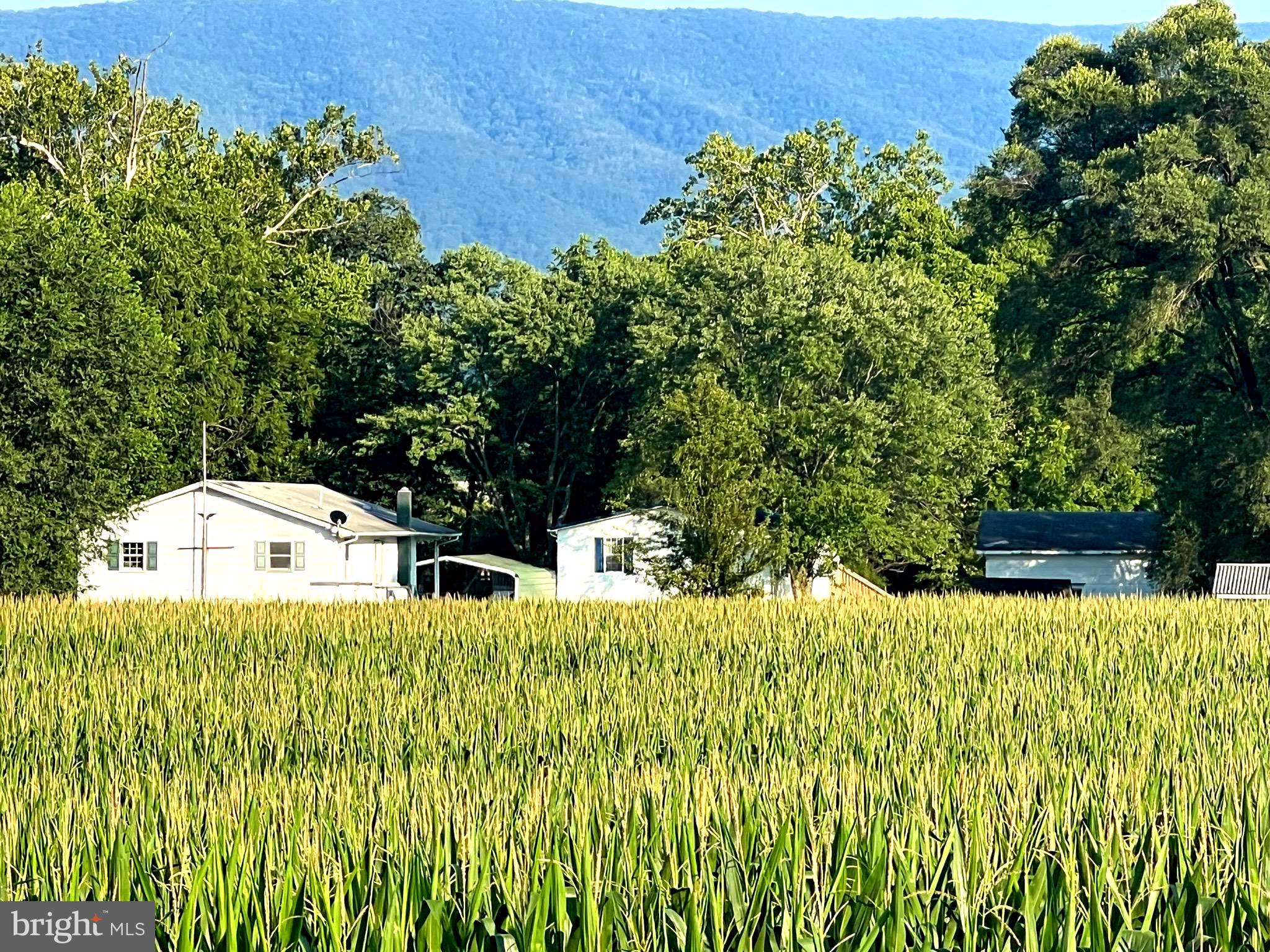 NONE UNRESTRICTED - Farm