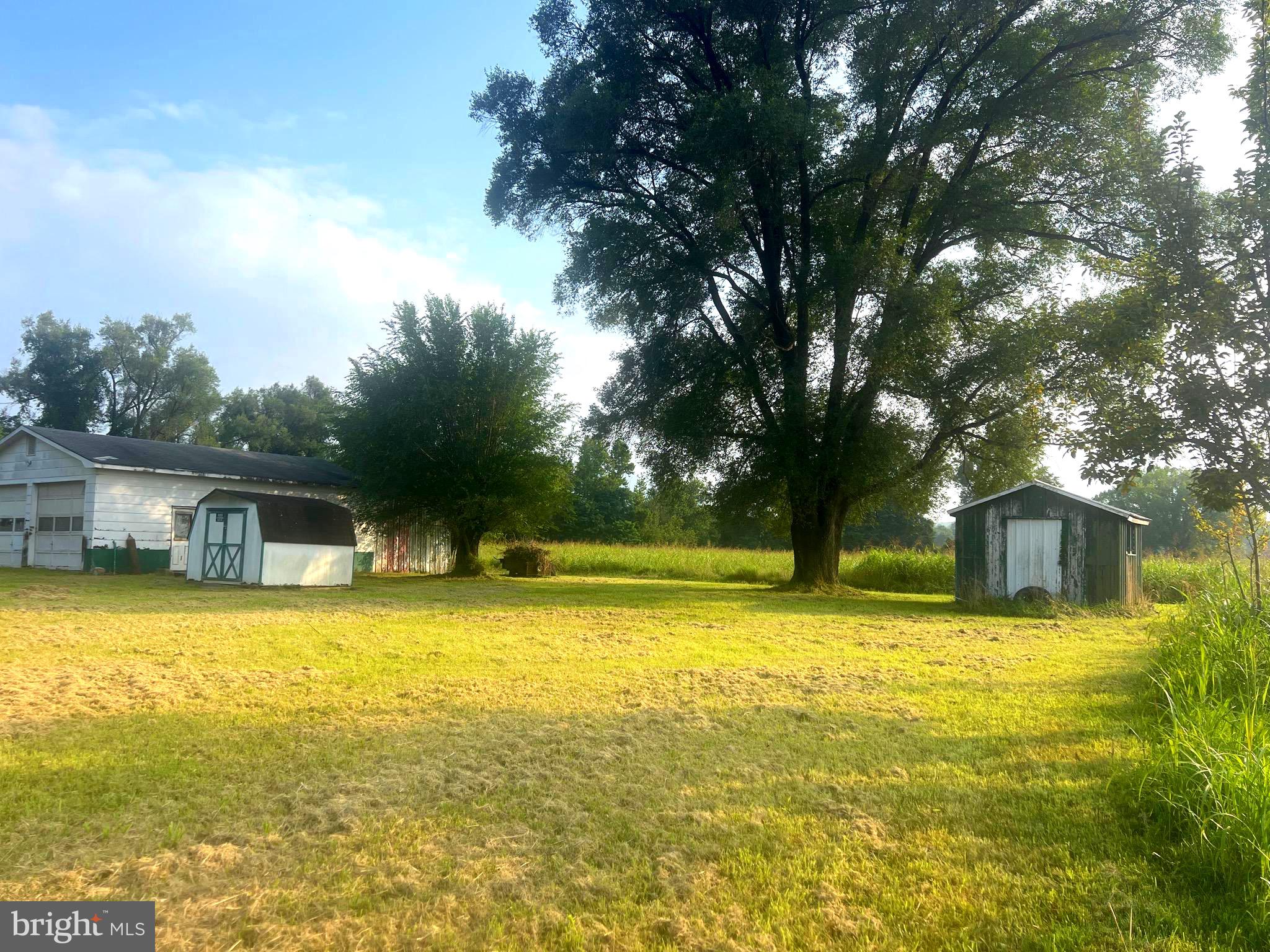 NONE UNRESTRICTED - Farm