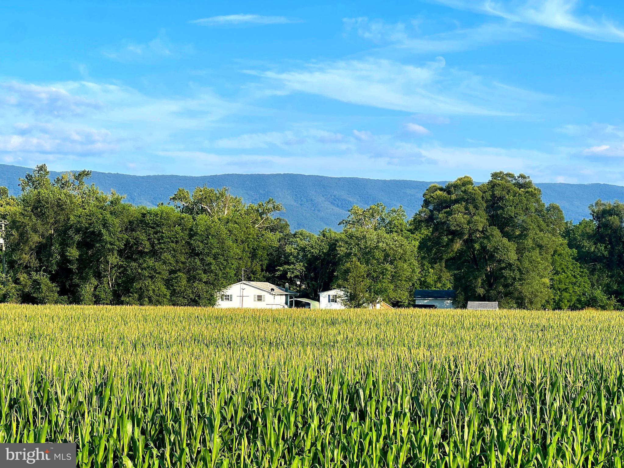 NONE UNRESTRICTED - Farm