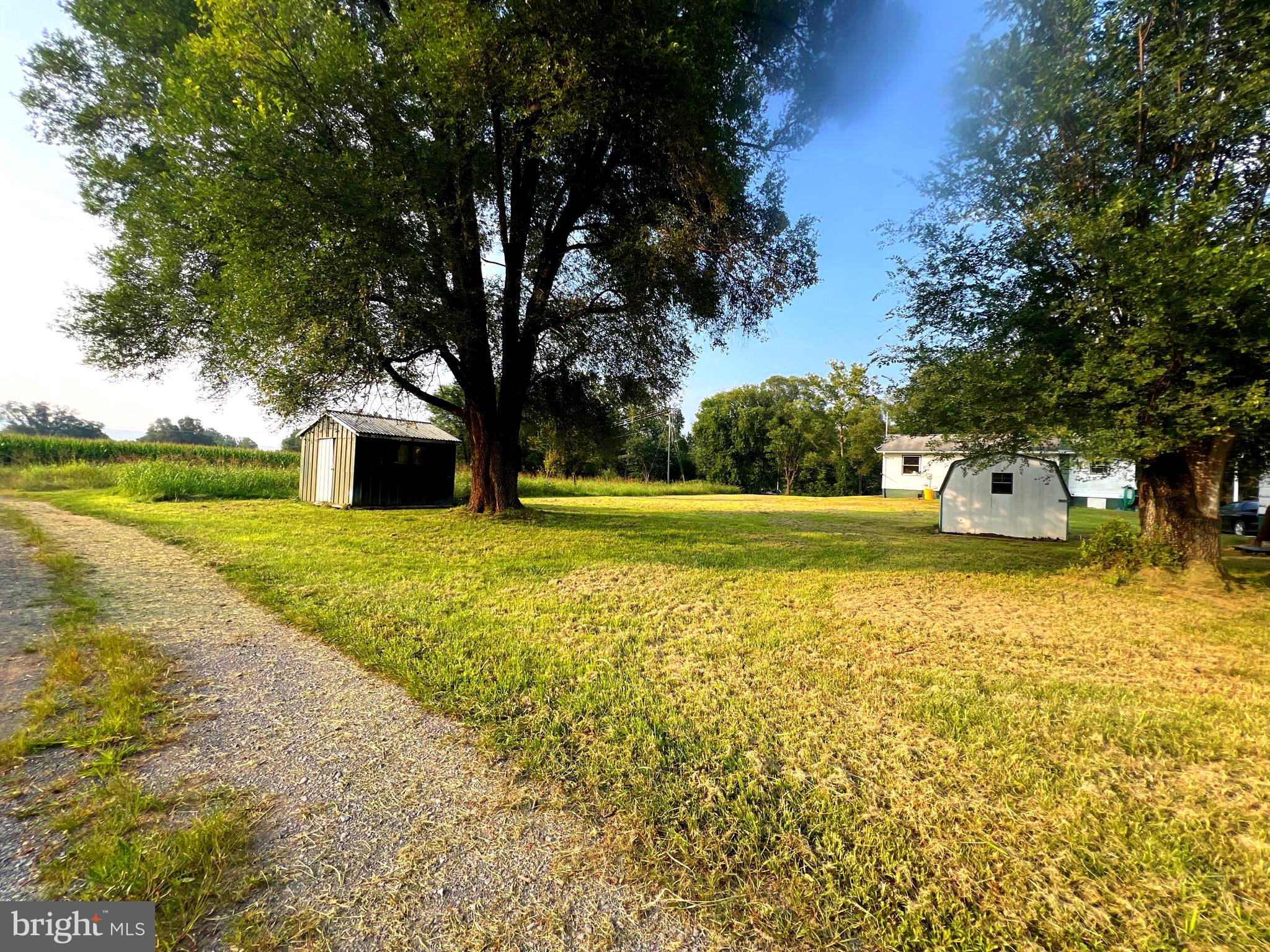 NONE UNRESTRICTED - Farm