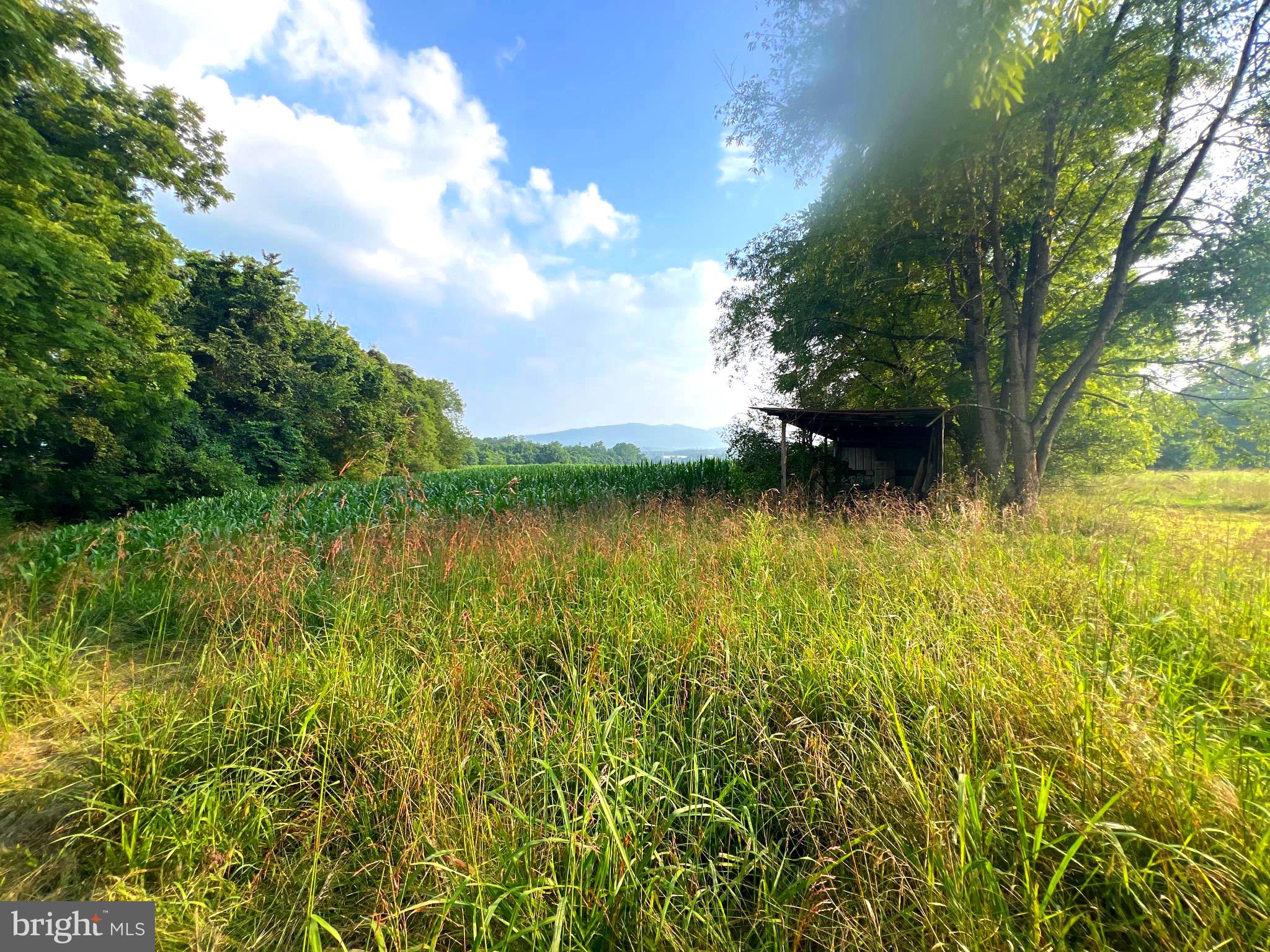 NONE UNRESTRICTED - Farm