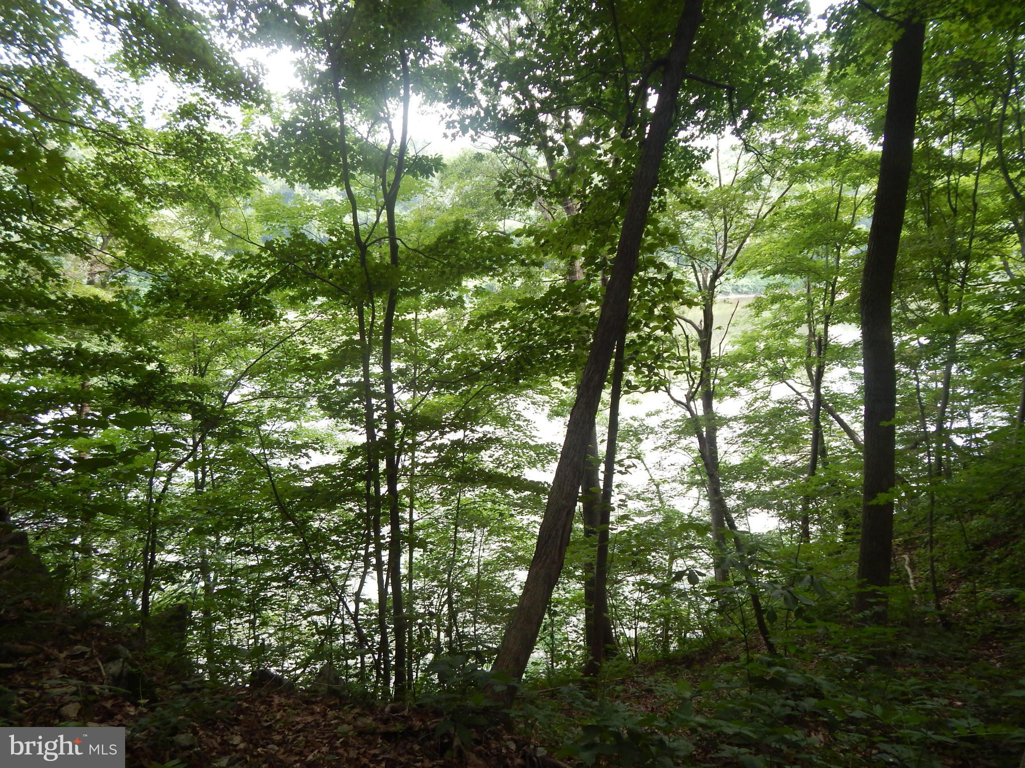 POTOMAC HILLS - Land