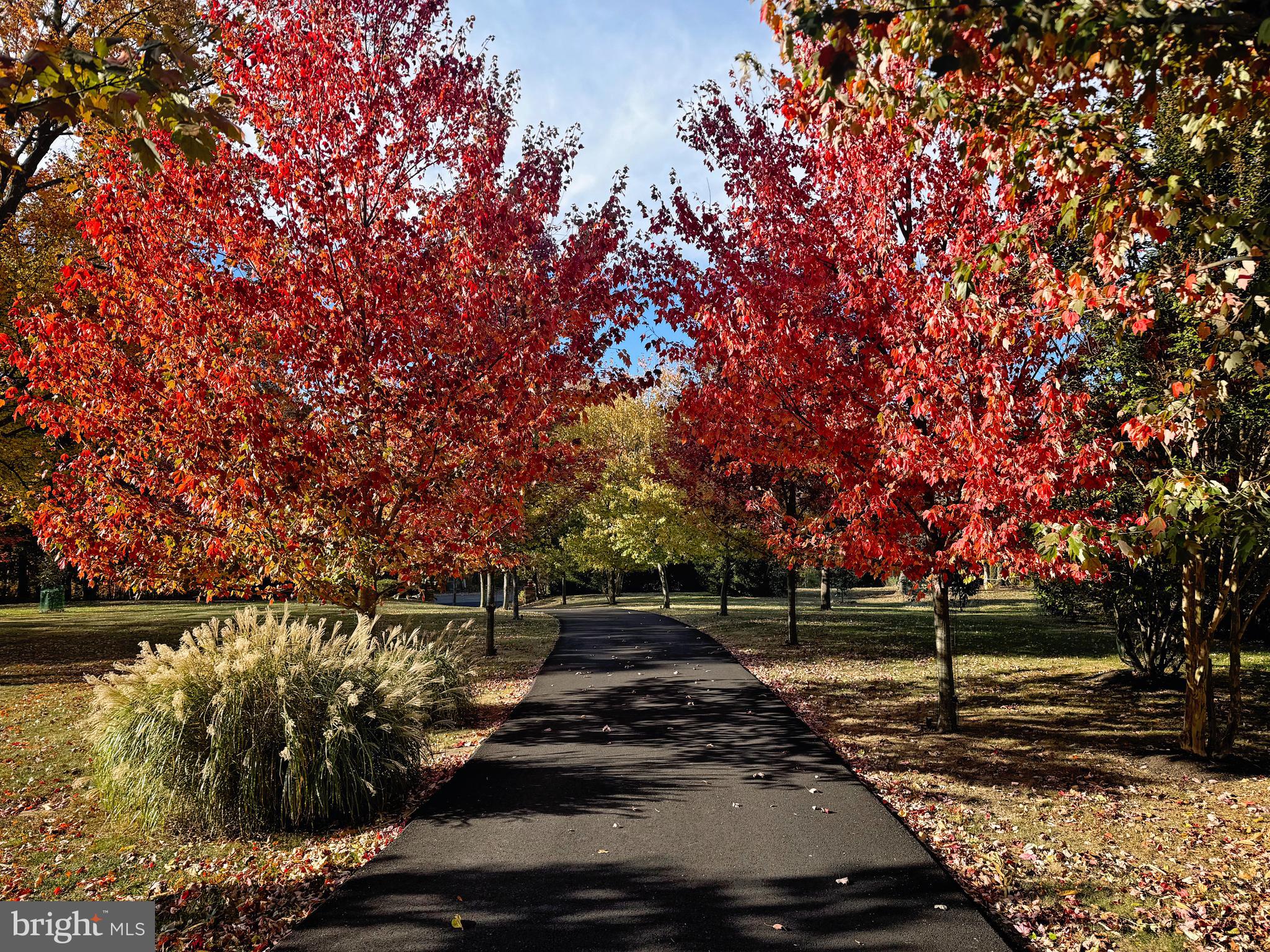 WHITE GATE - Residential
