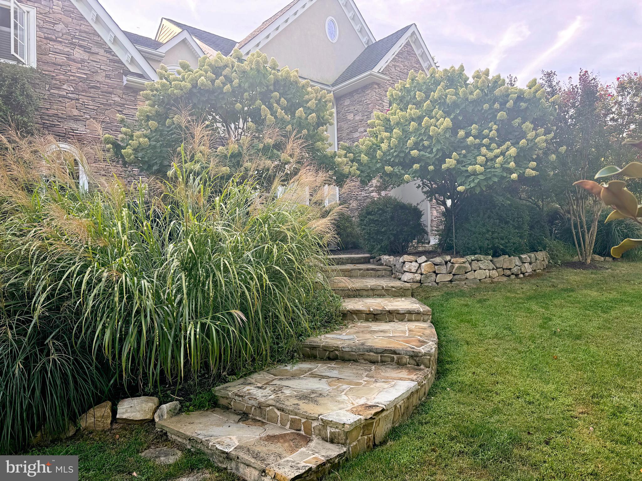 WHITE GATE - Residential