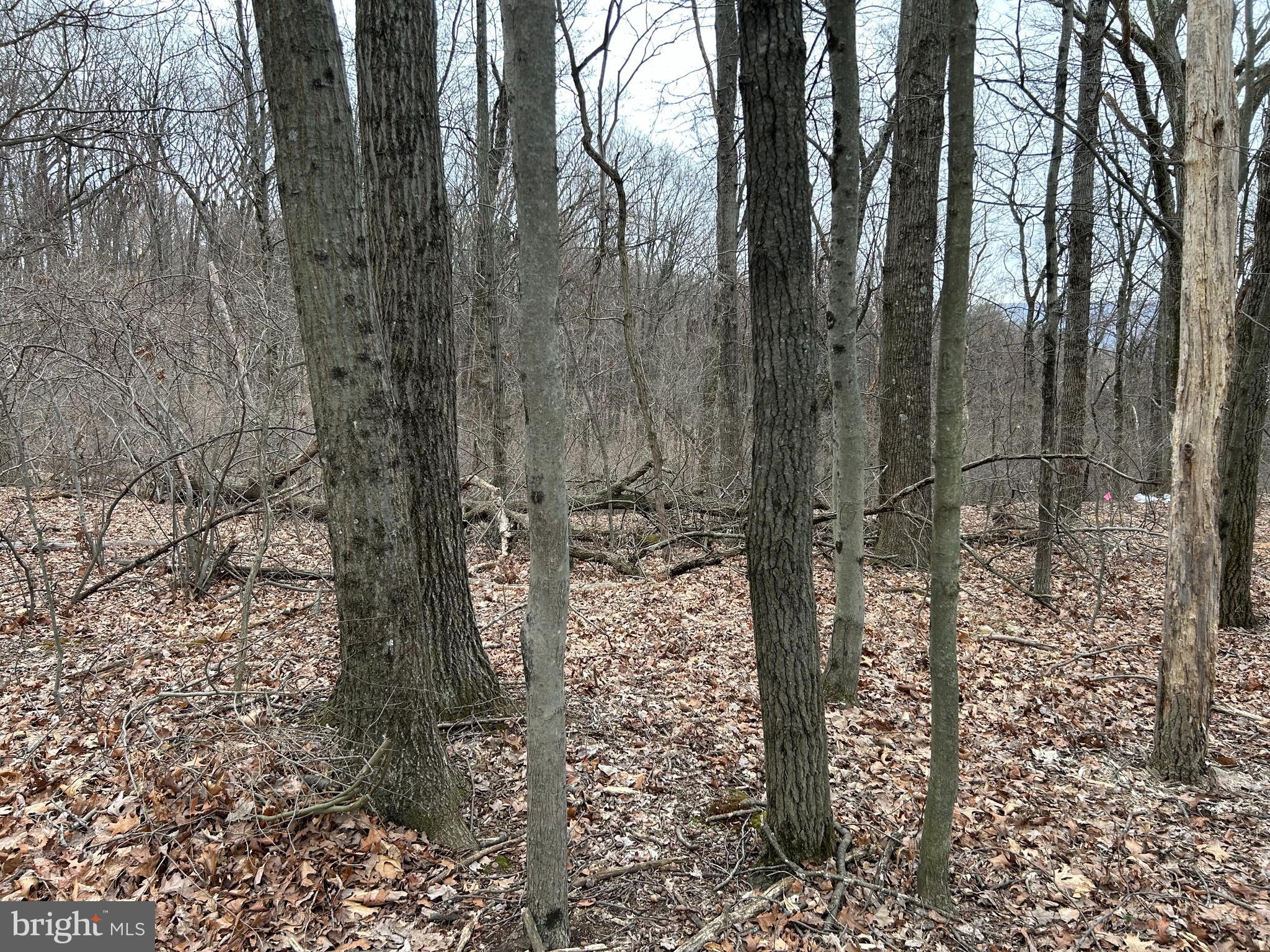 675 ARROW RD. (LOT # 22)