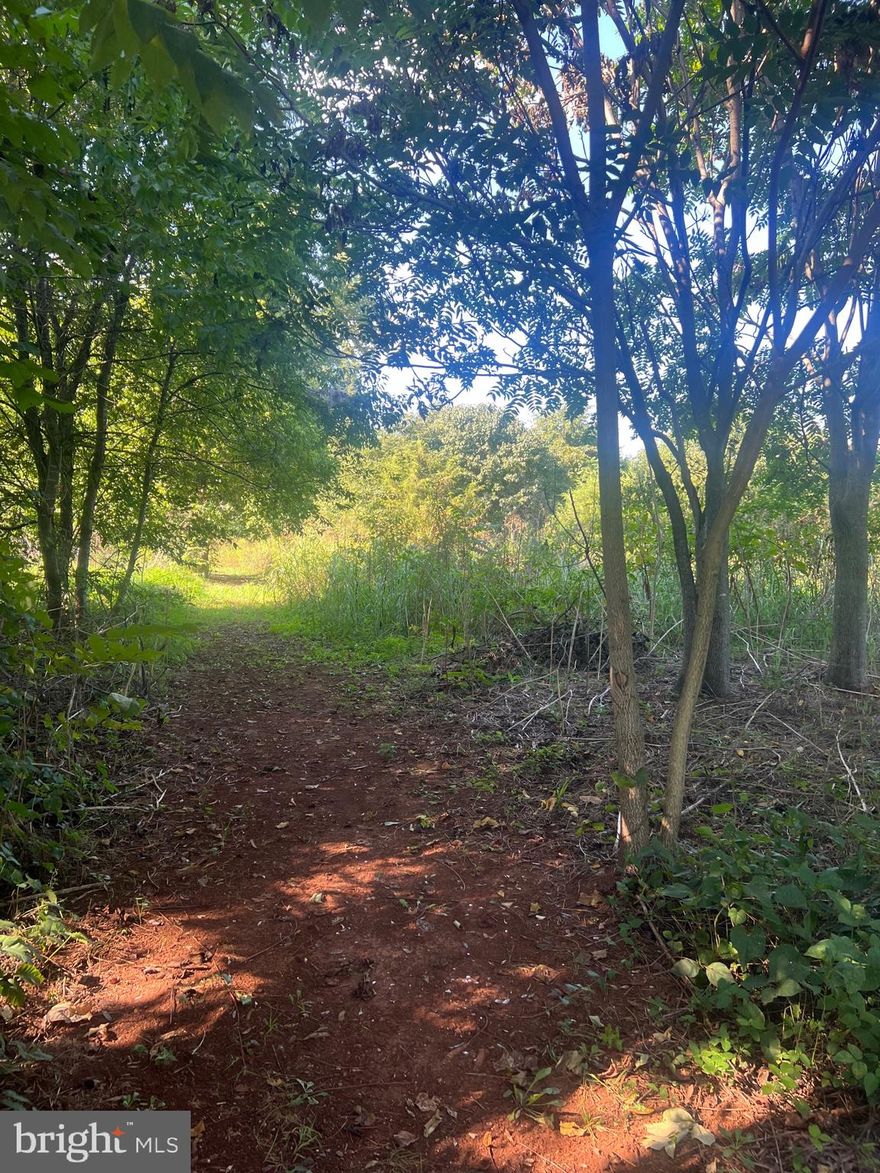 According to Orange County, this 7.36-acre wooded lot has three division rights, each of 2.4 acres. It's in a great location! Can be connected to town water according to Rapidan Service Authority.
186 feet of road frontage, according to the highway department.
Located past the Tractor Supply / Dollar General shopping center on the right. Sign up